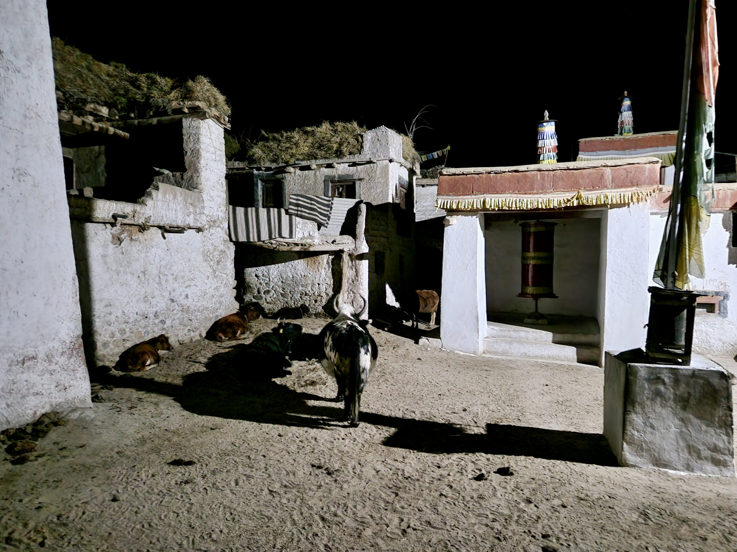 Evenings on the village square