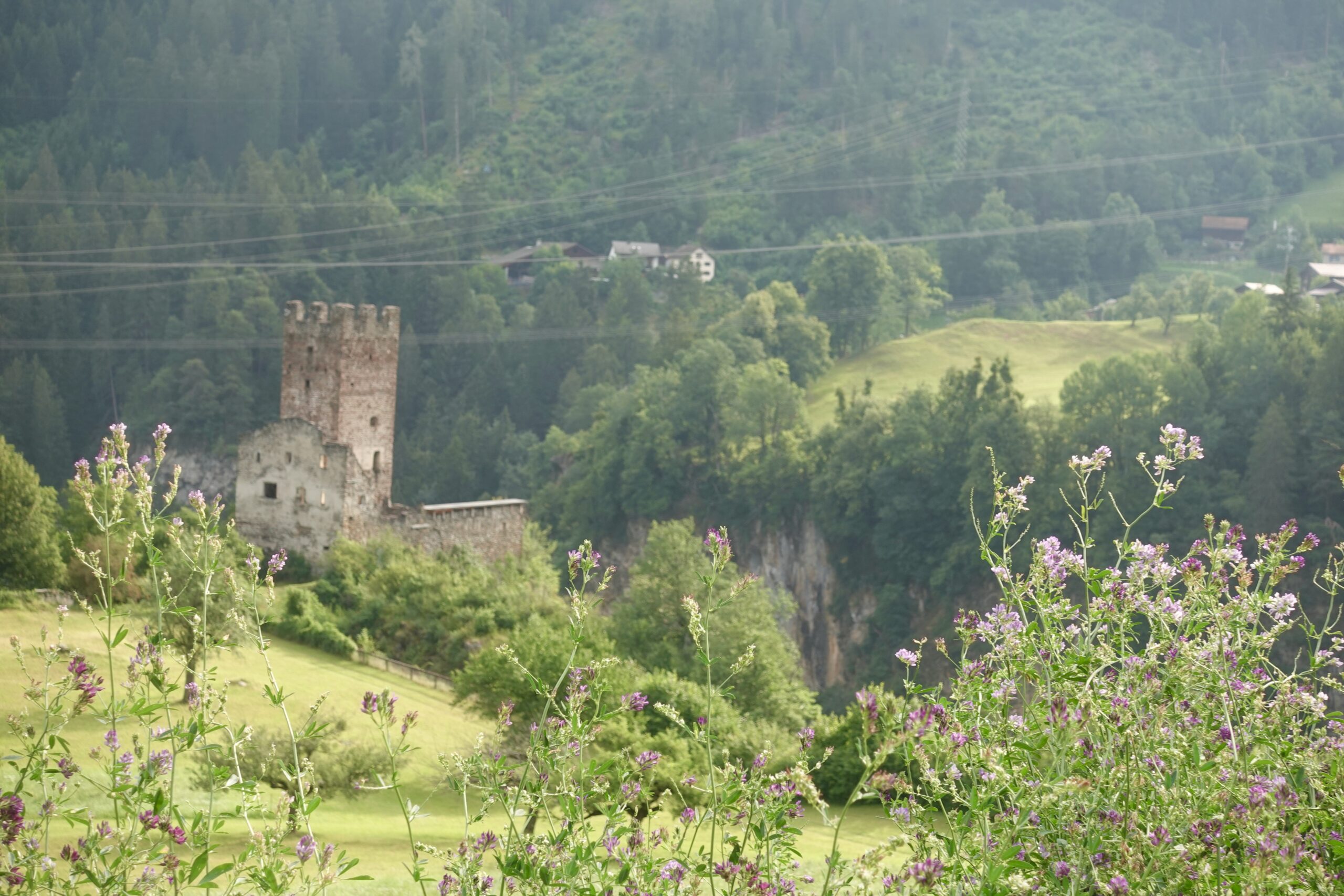 Castle in Domleschg