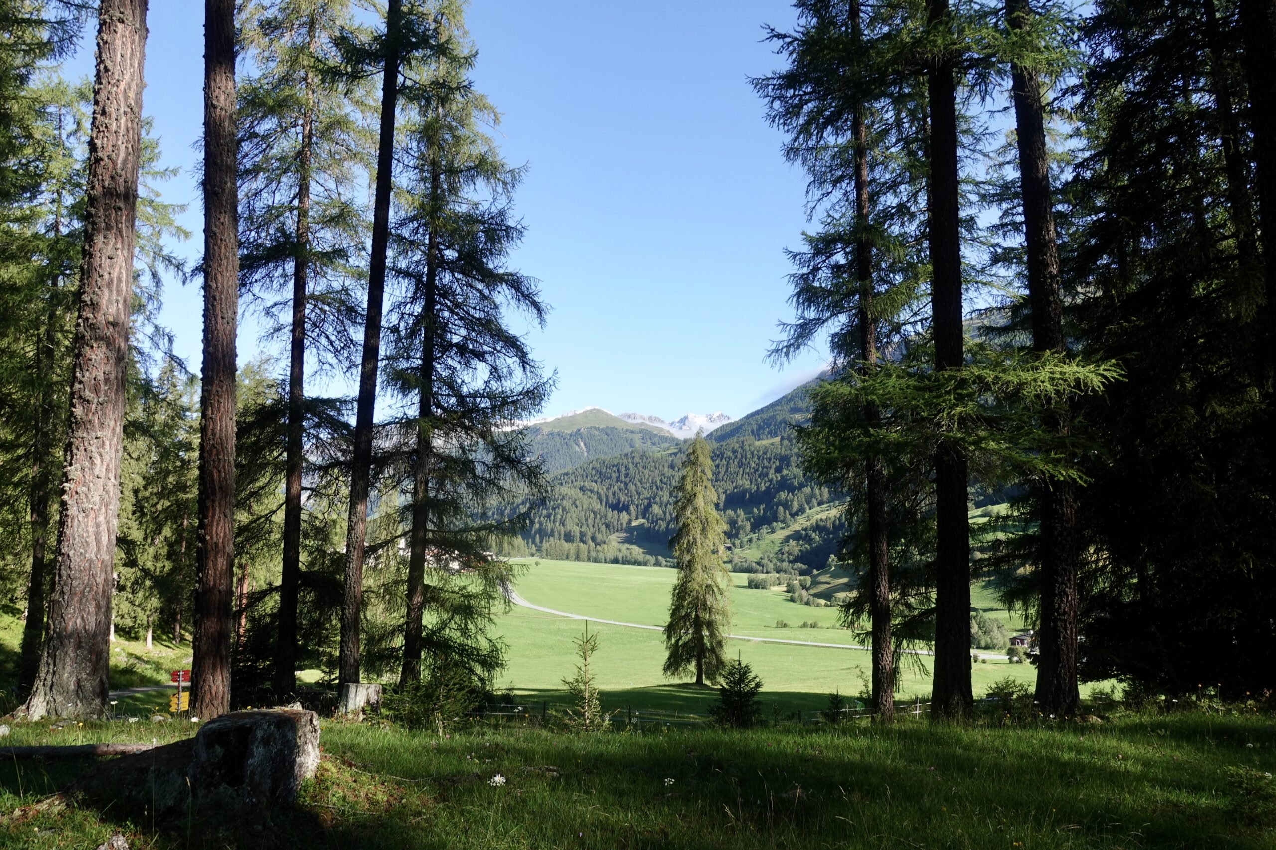 Aussicht von unserem Zeltplatz bei Fuldera