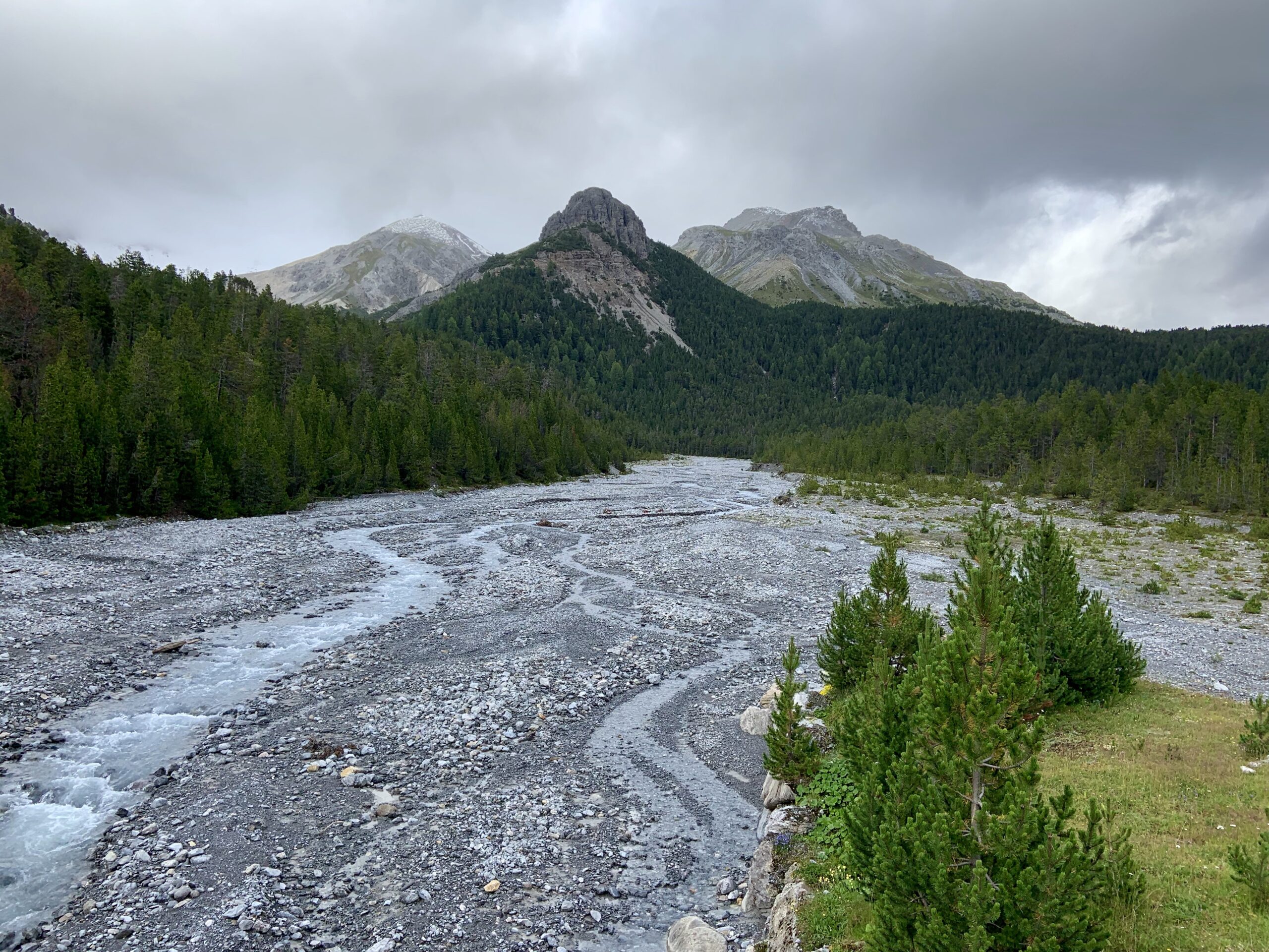 Im Schweizer Nationalpark