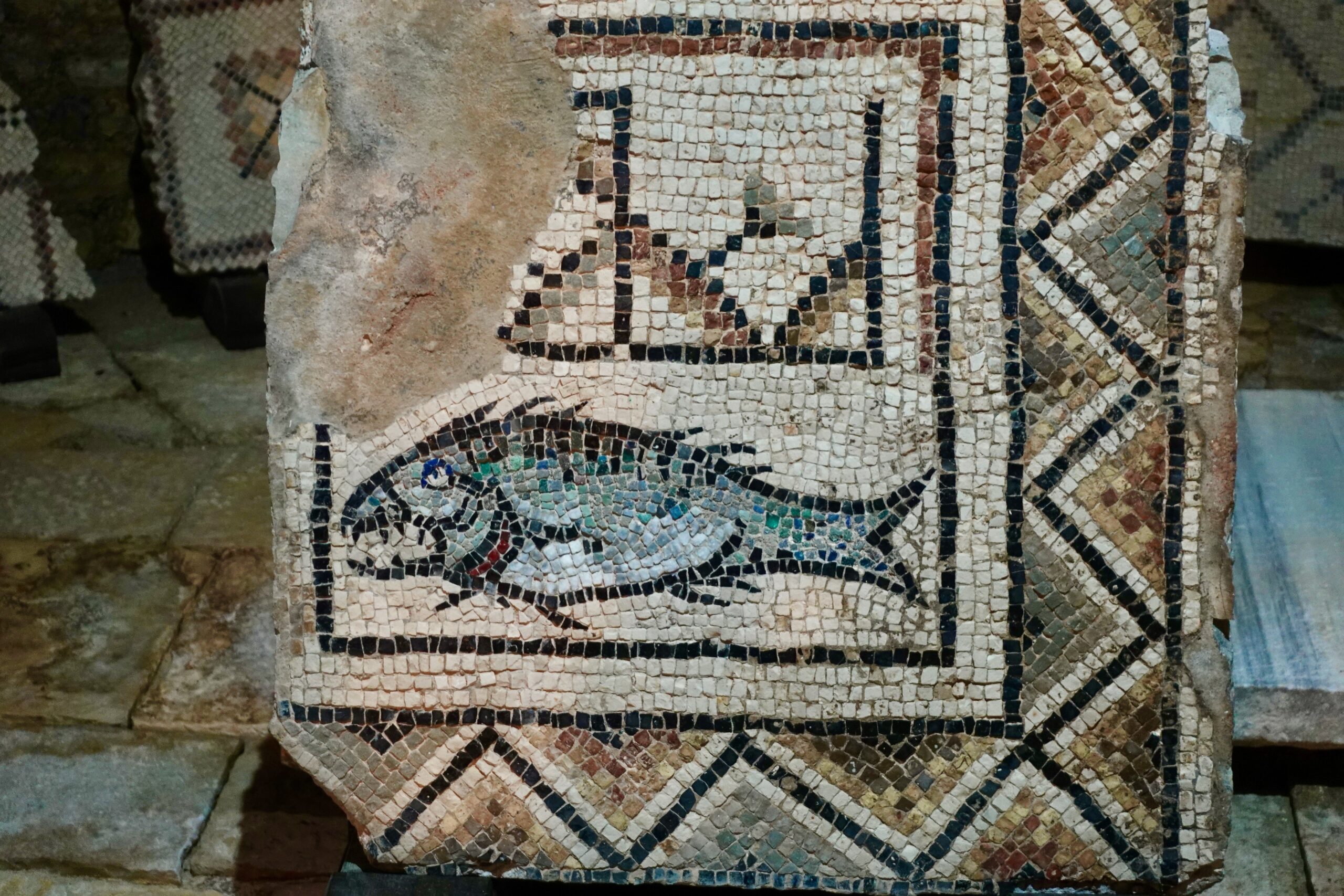 Fish mosaic from the 4th century