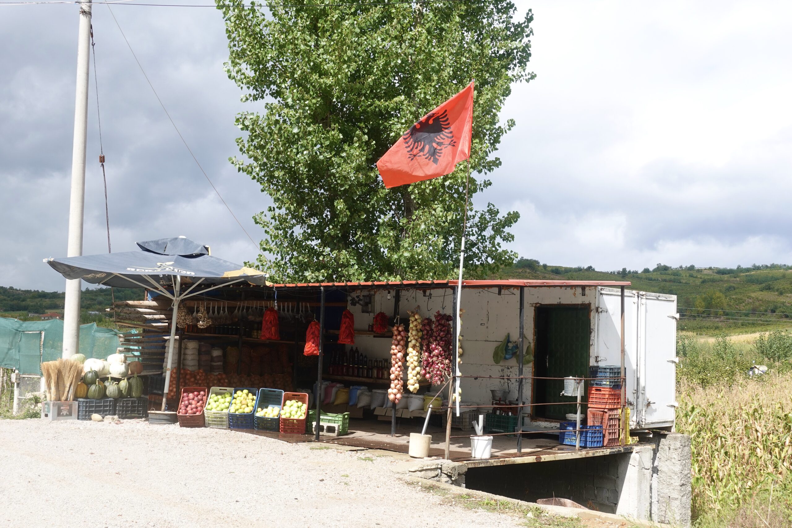 You can get fresh fruits directly from the field everywhere in this area