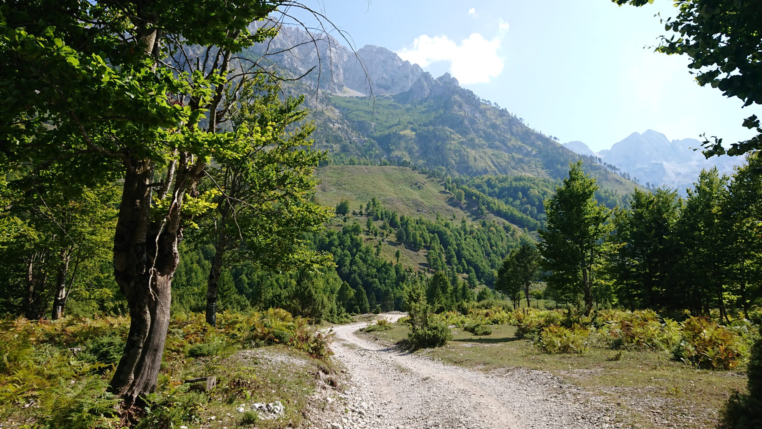 Wir fühlen uns in die Schweizer Berge zurück versetzt