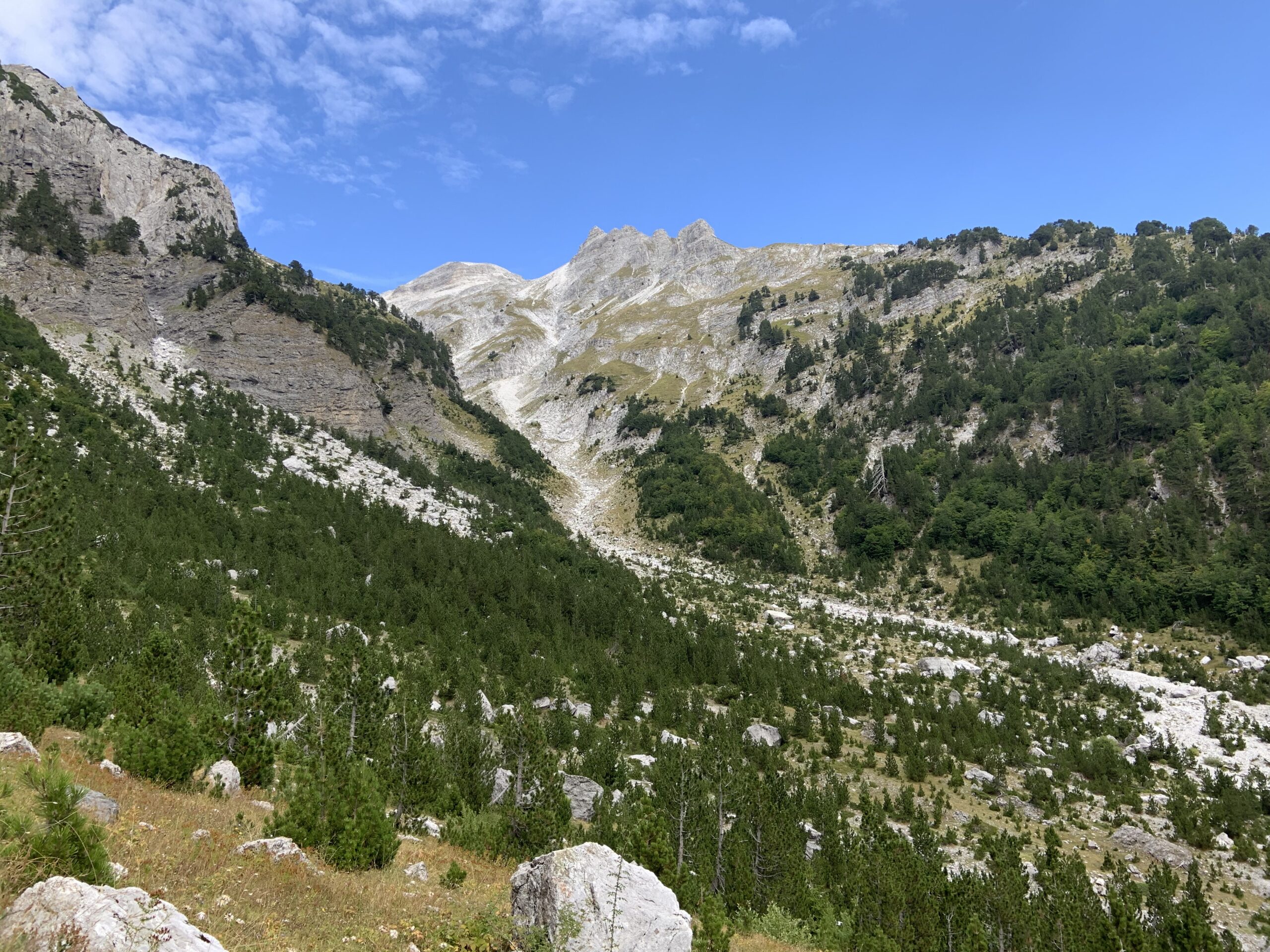 View in the direction of the highest mountain of Albania, Jezercas