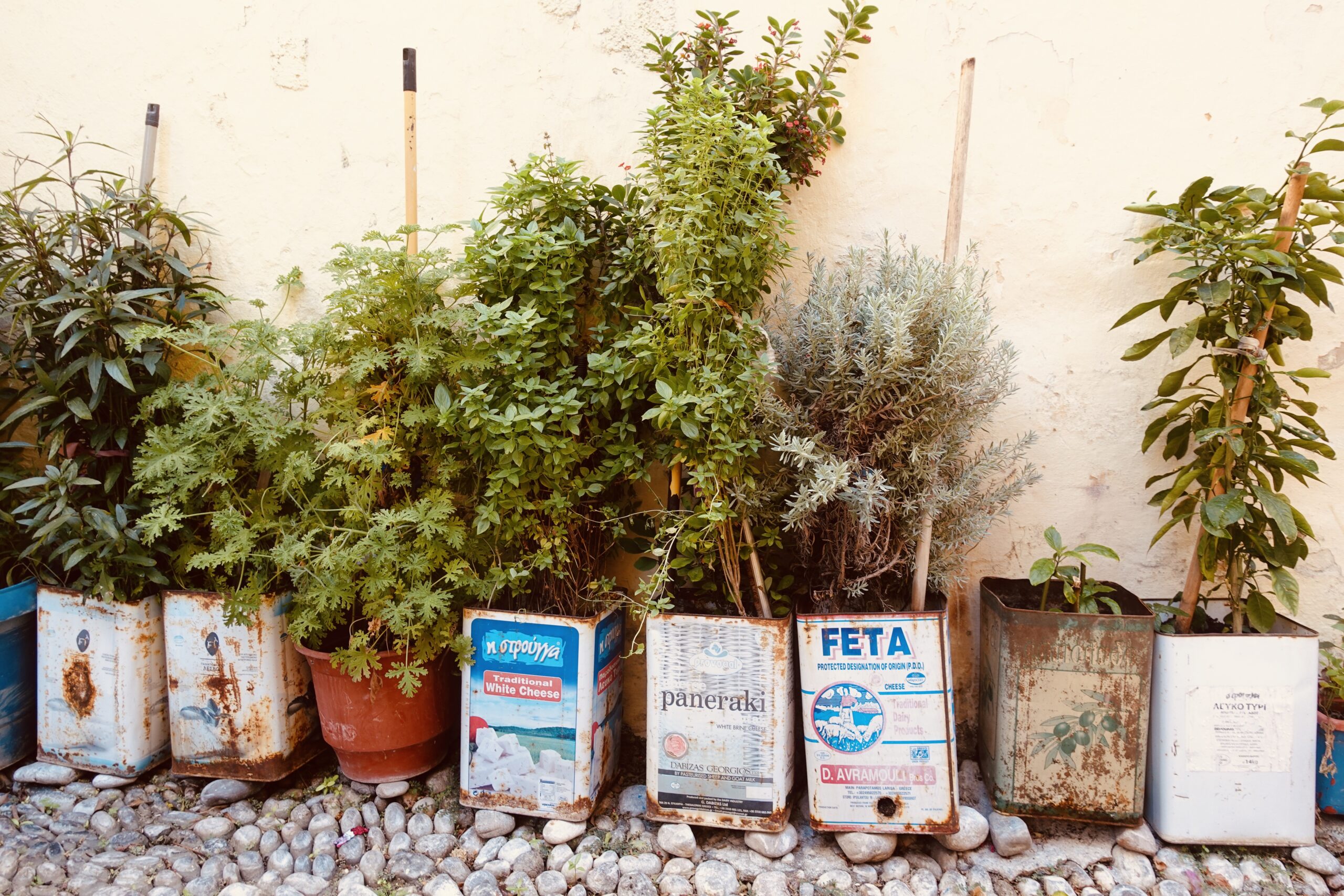 Recycled feta boxes