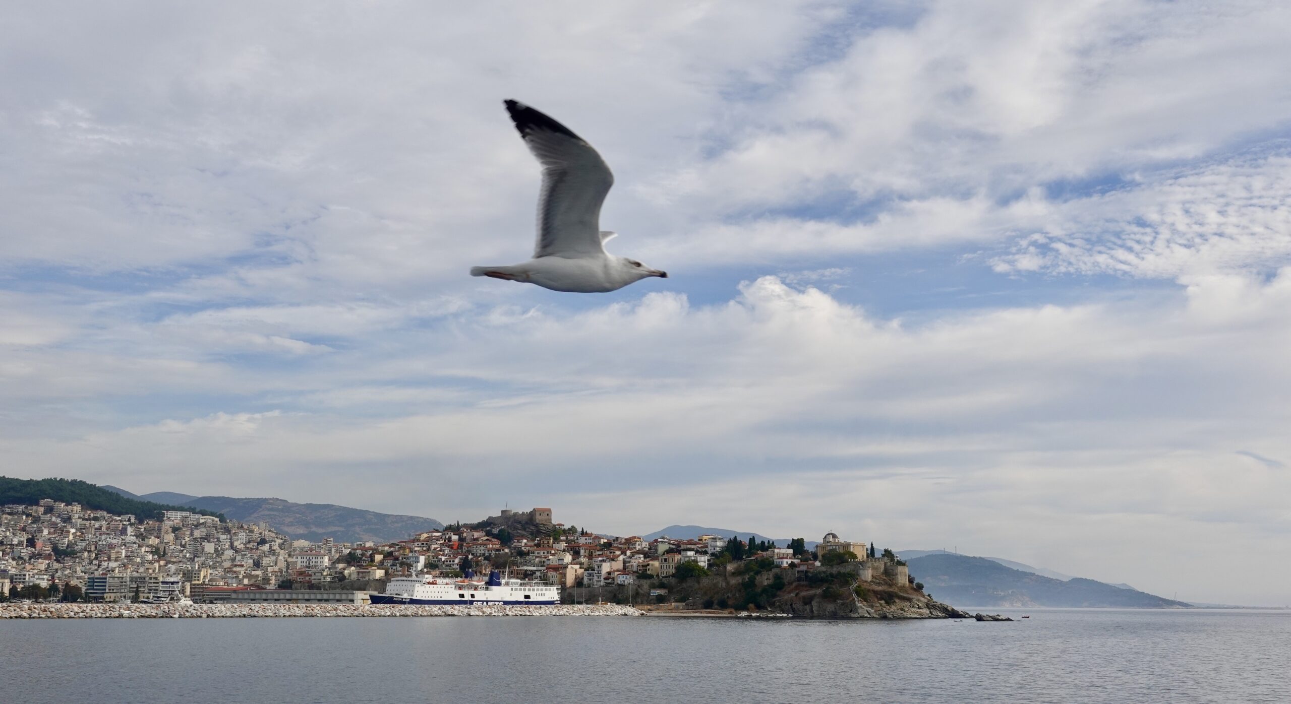 Seagulls accompany the ferry