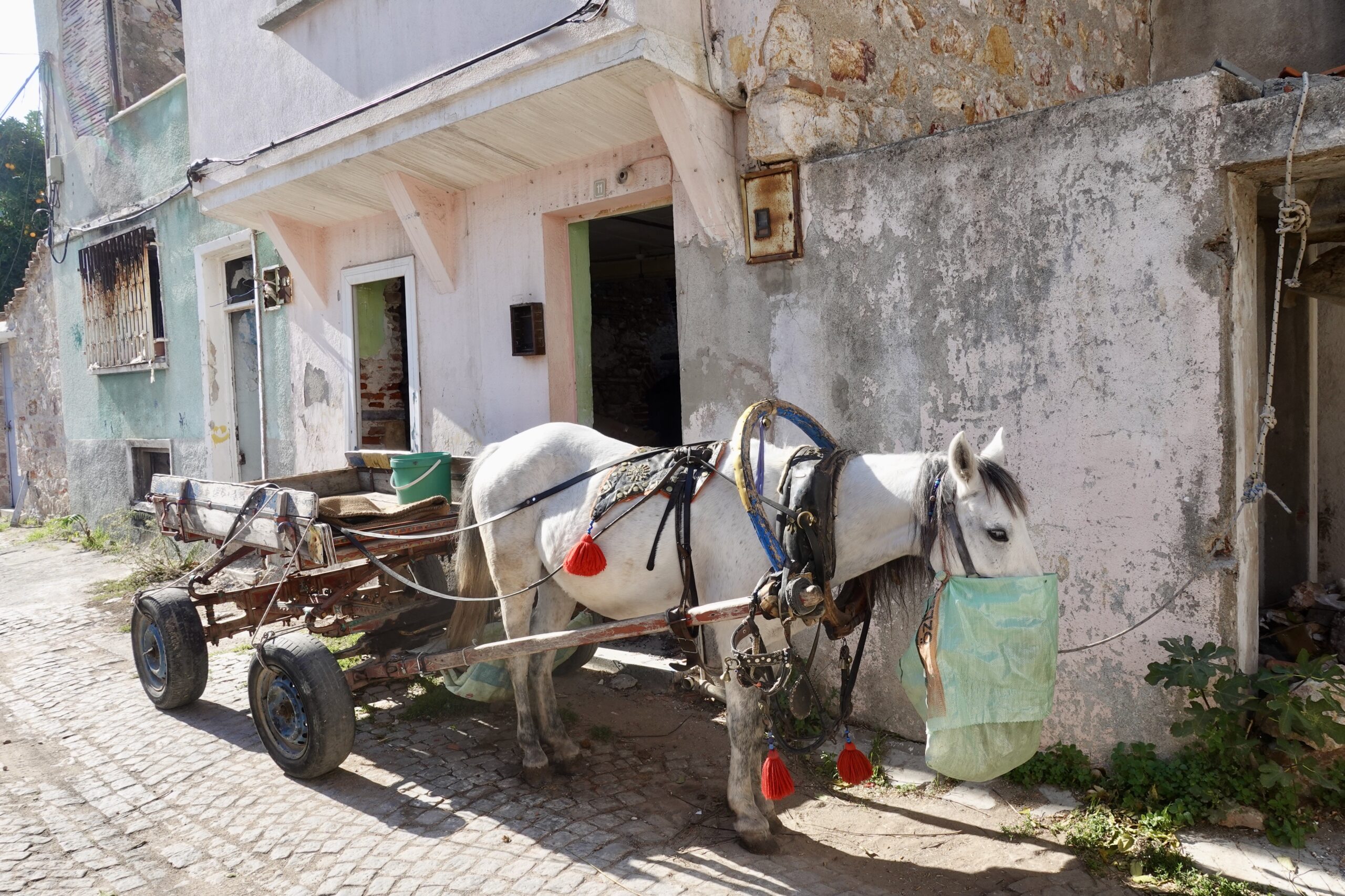 Alltagsbild in Ayvalik