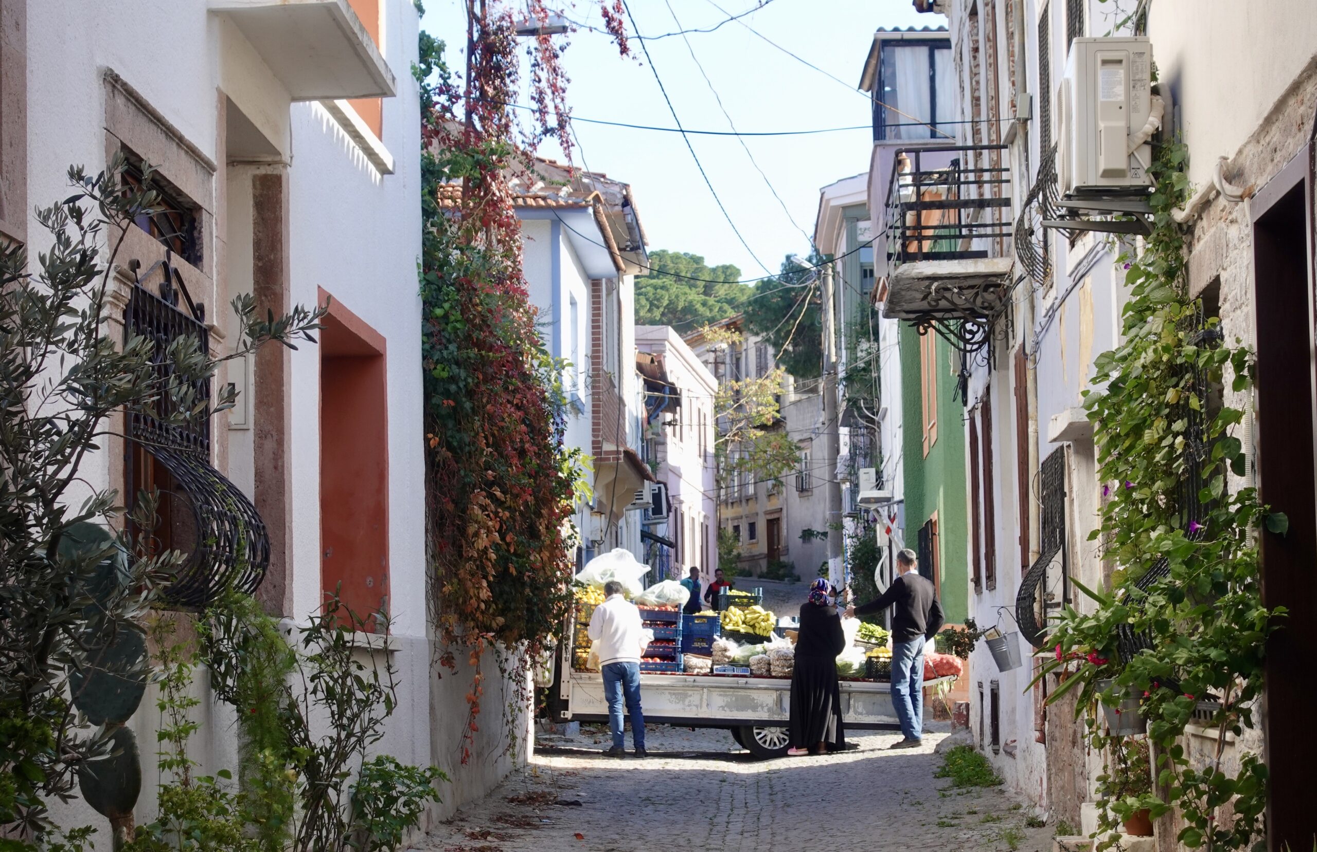 Vegetable cart in Ayvalik