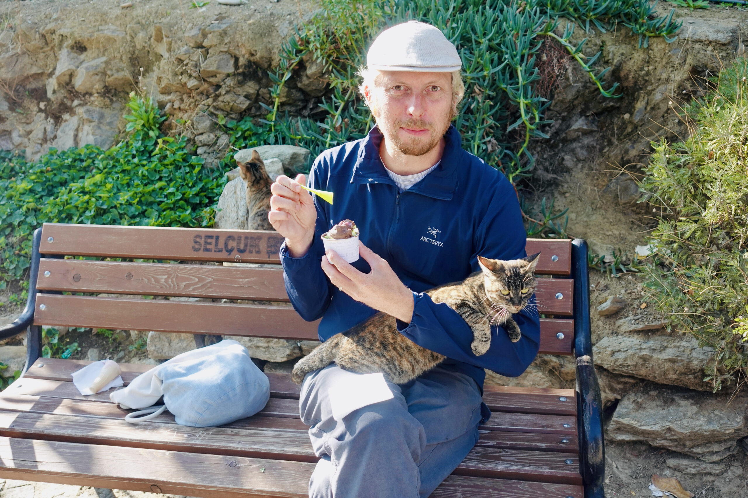 Dario kann bei Katzen einfach nicht "nein" sagen