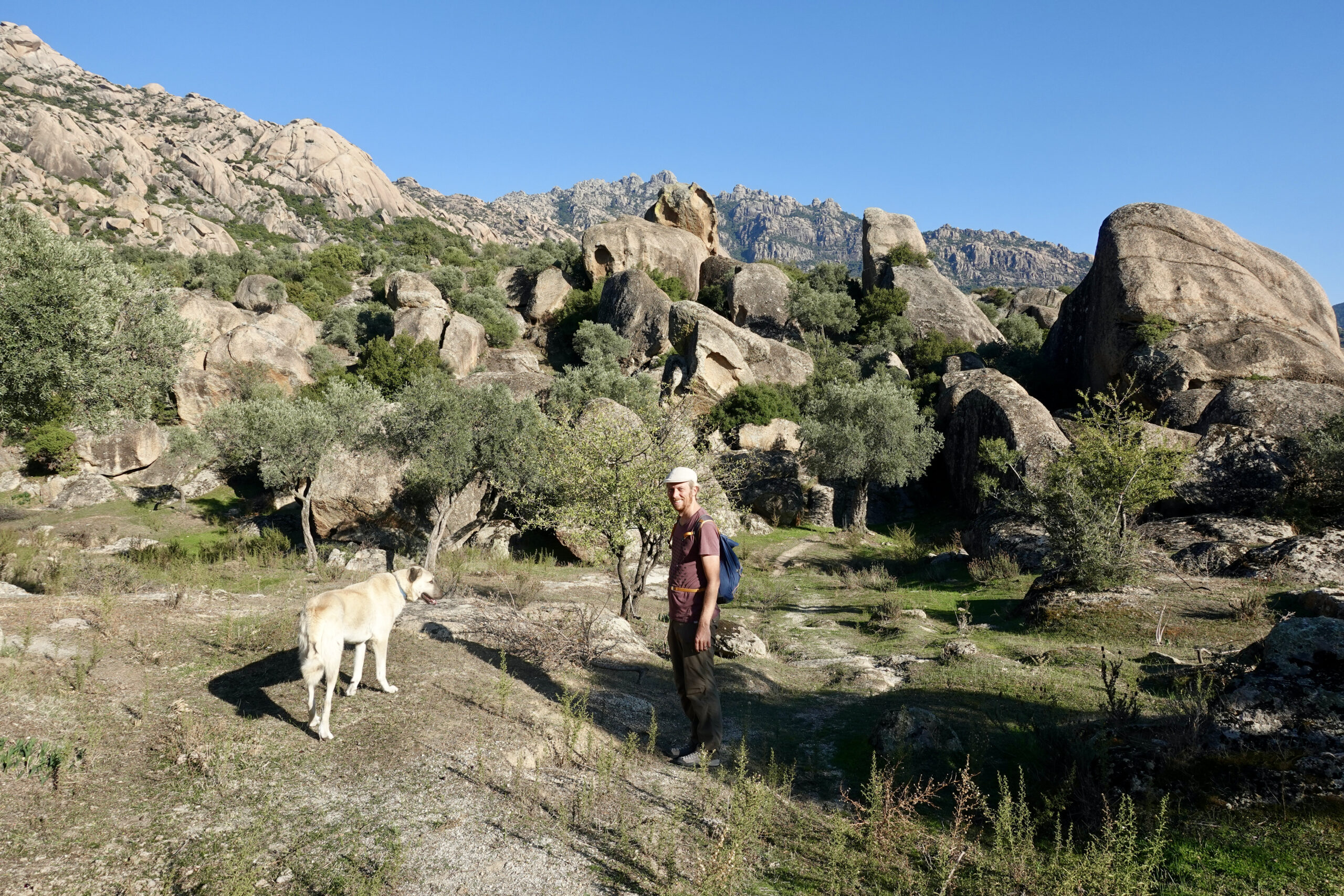 Once again a hike with a dog