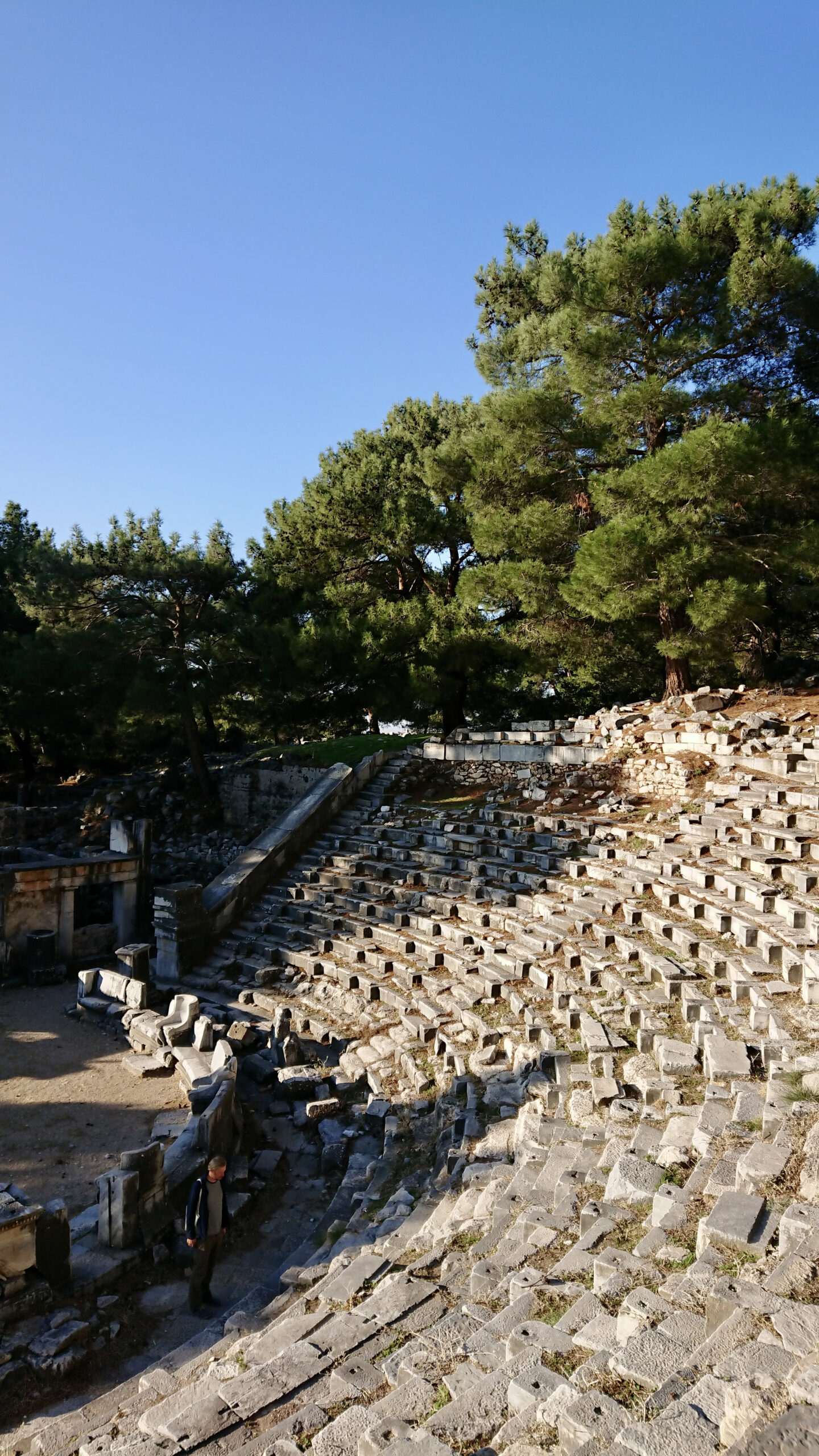 The whole ancient site is located in the middle of the trees