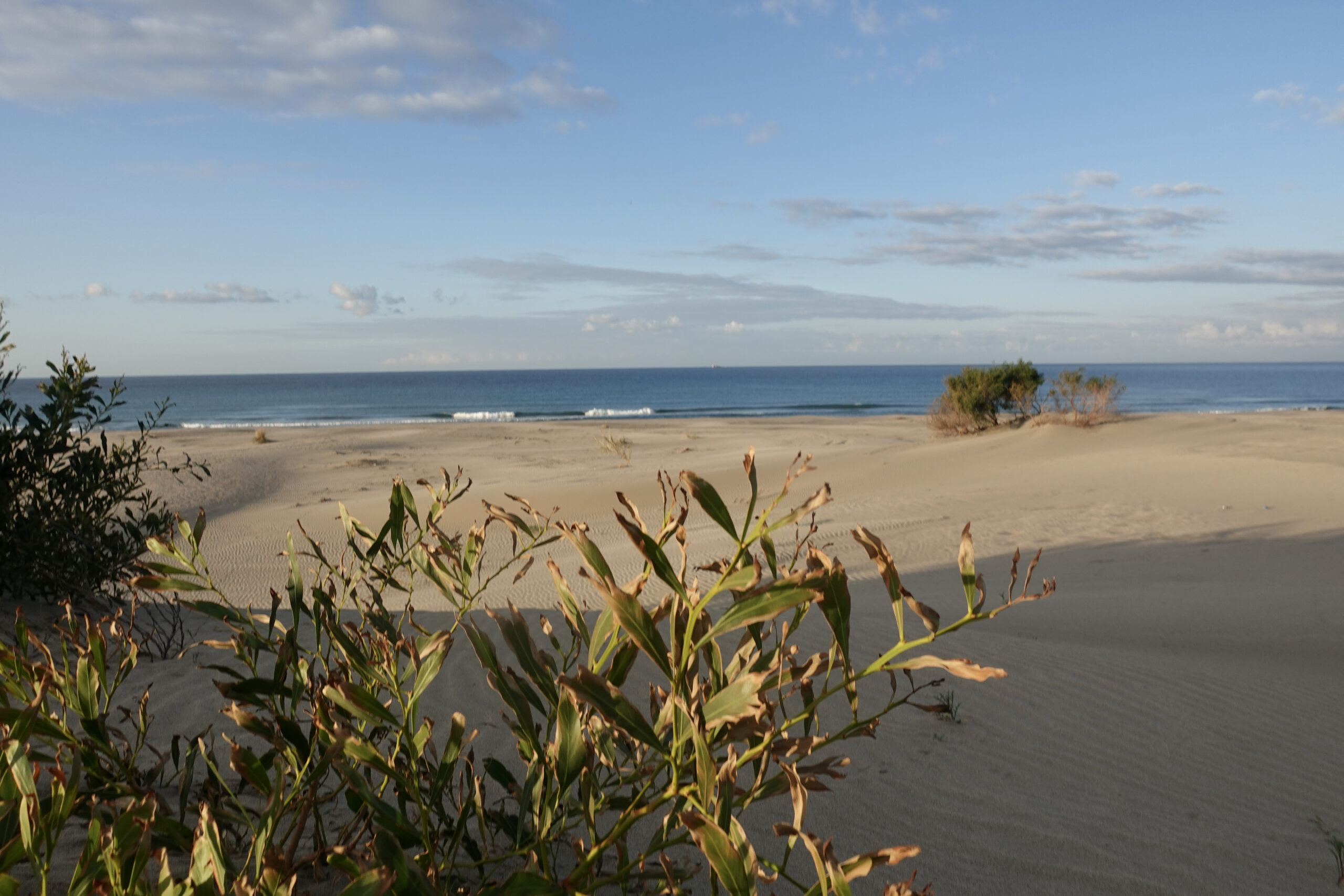 Den Strand haben wir sehr oft für uns alleine