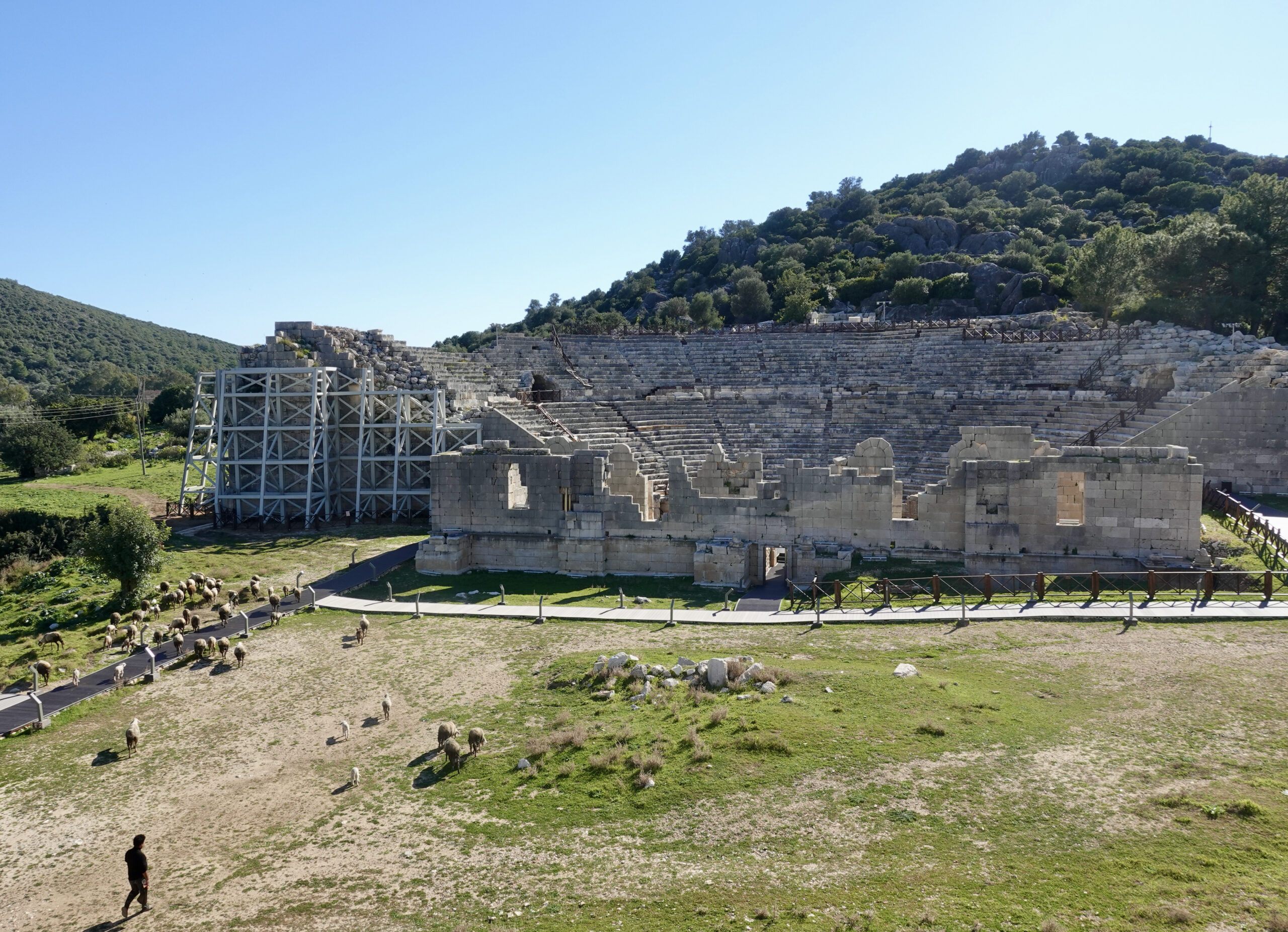 Schafe grasen neben dem Theater von Patara