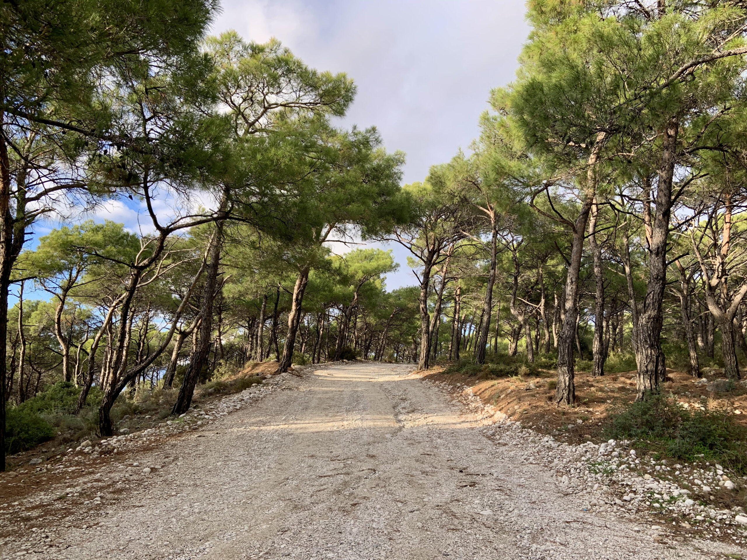 Path to the sand dunes