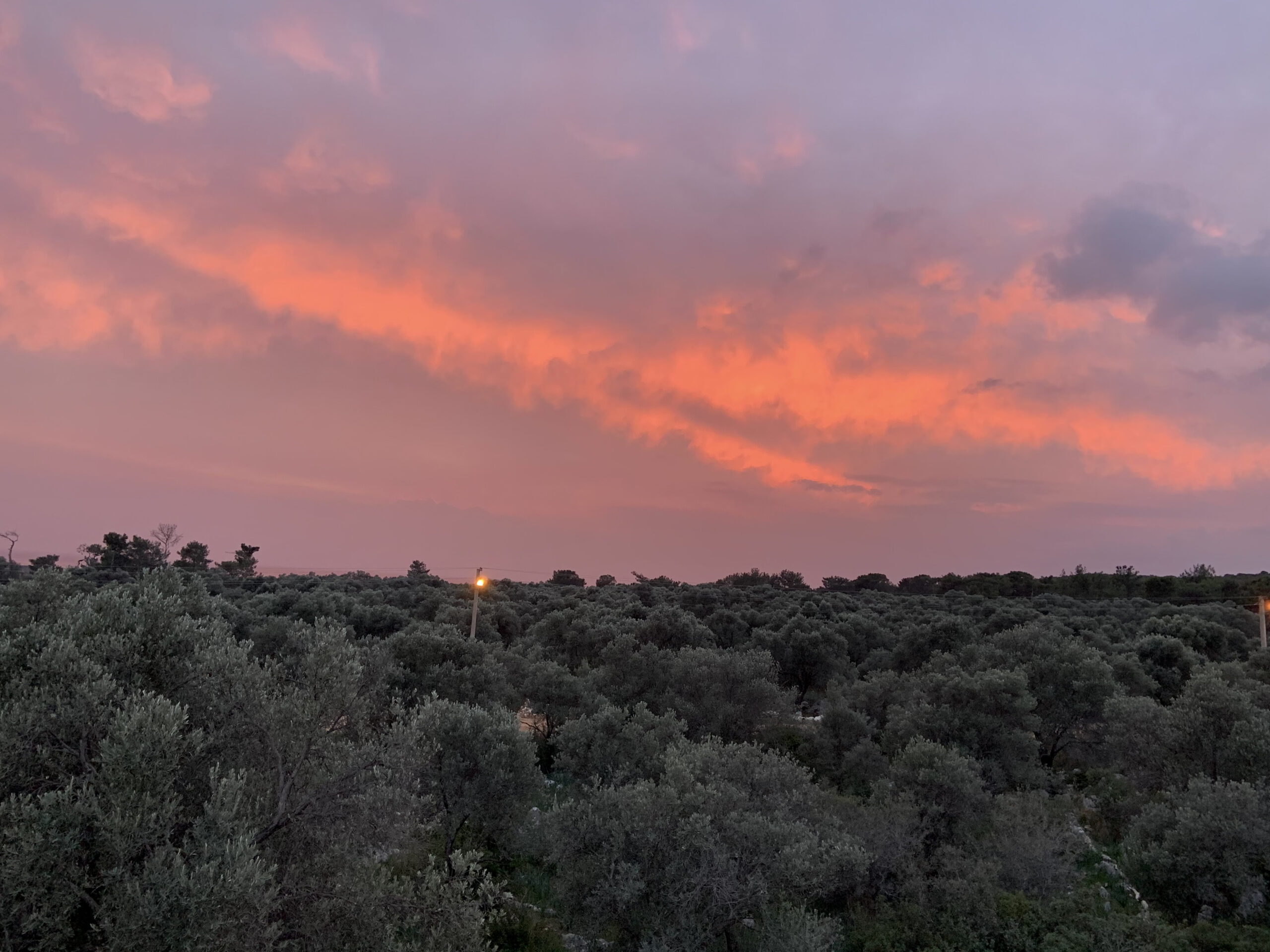 Sunset from our rooftop terrace