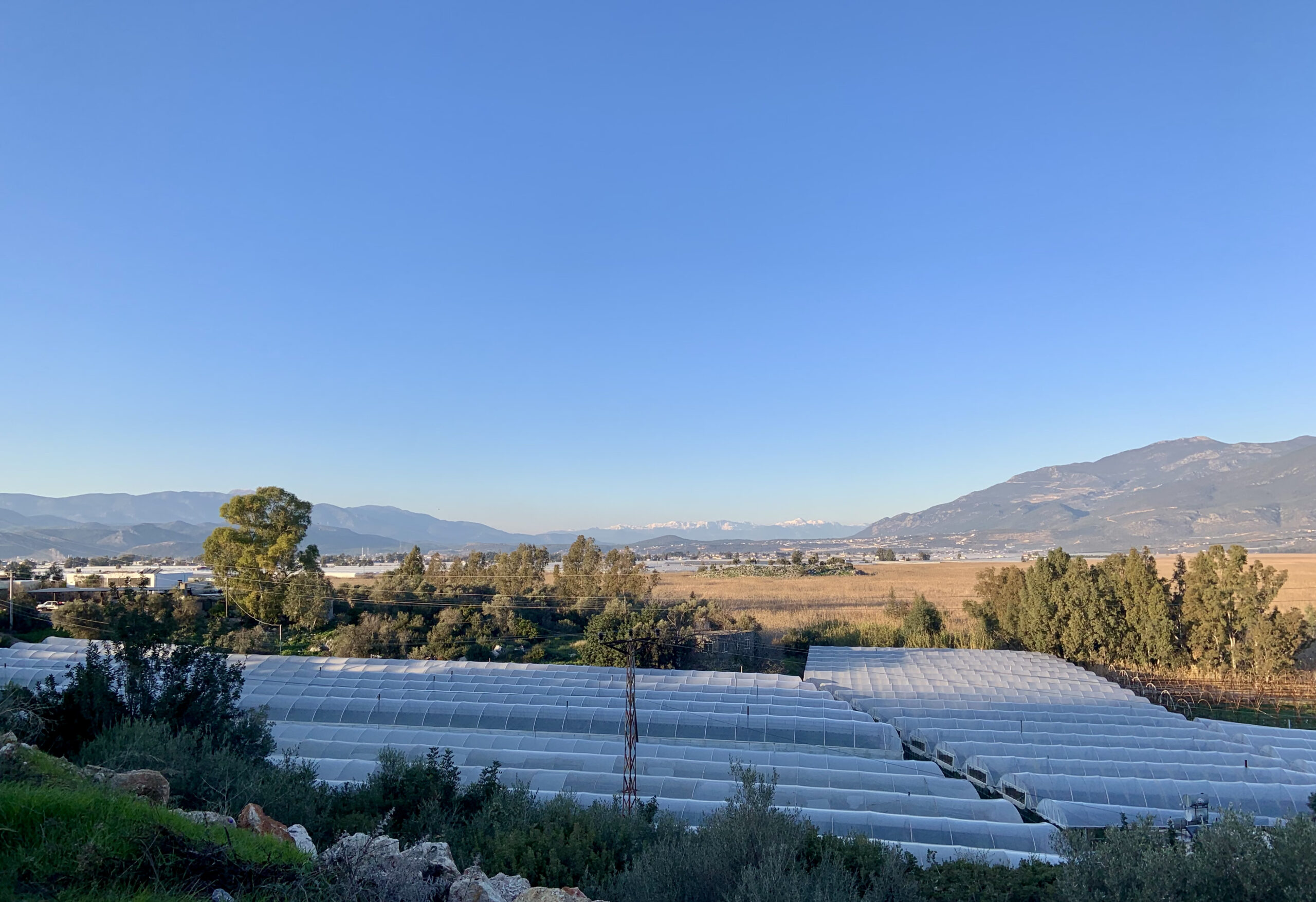 A white sea of greenhouses