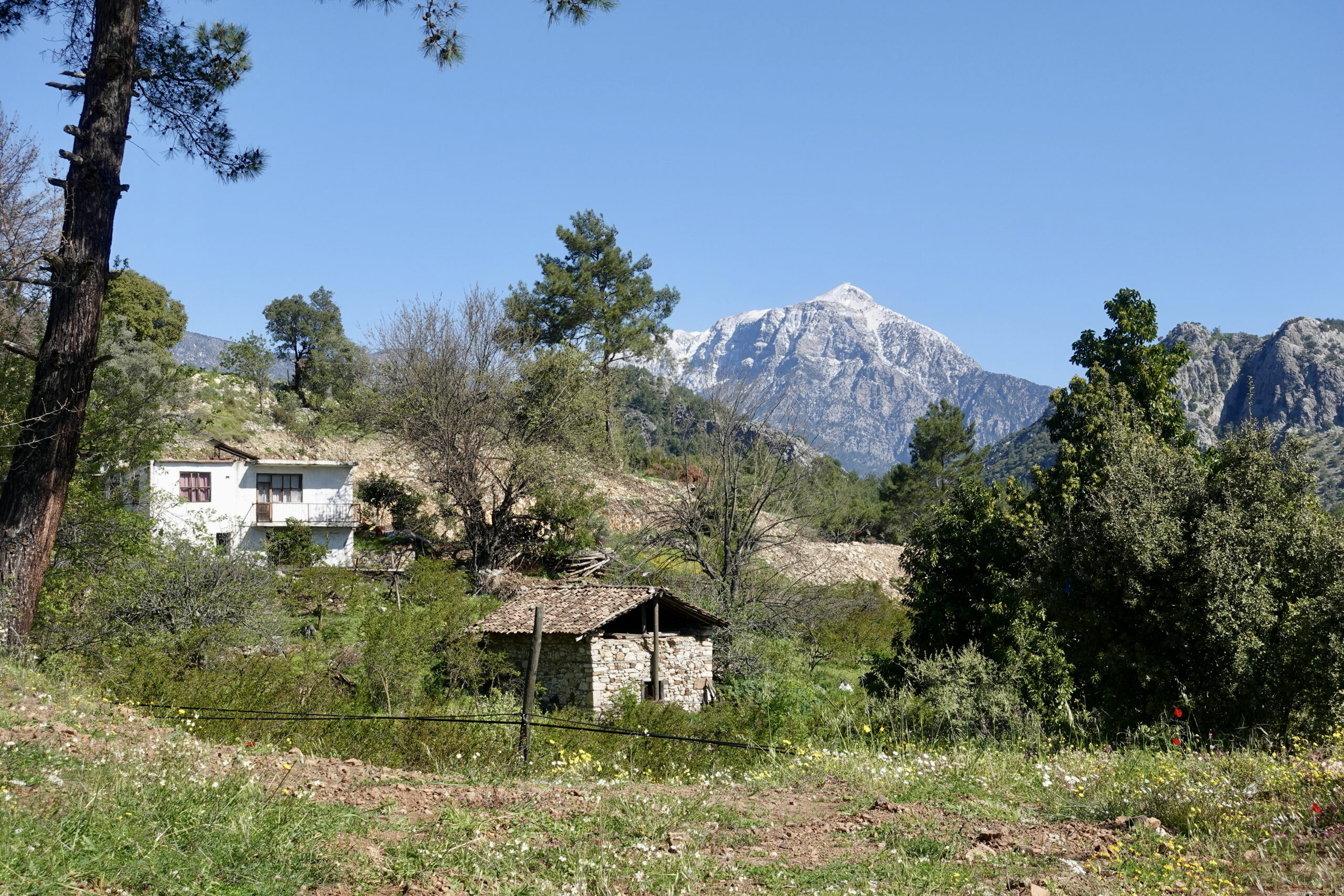 Landscape behind Çıralı