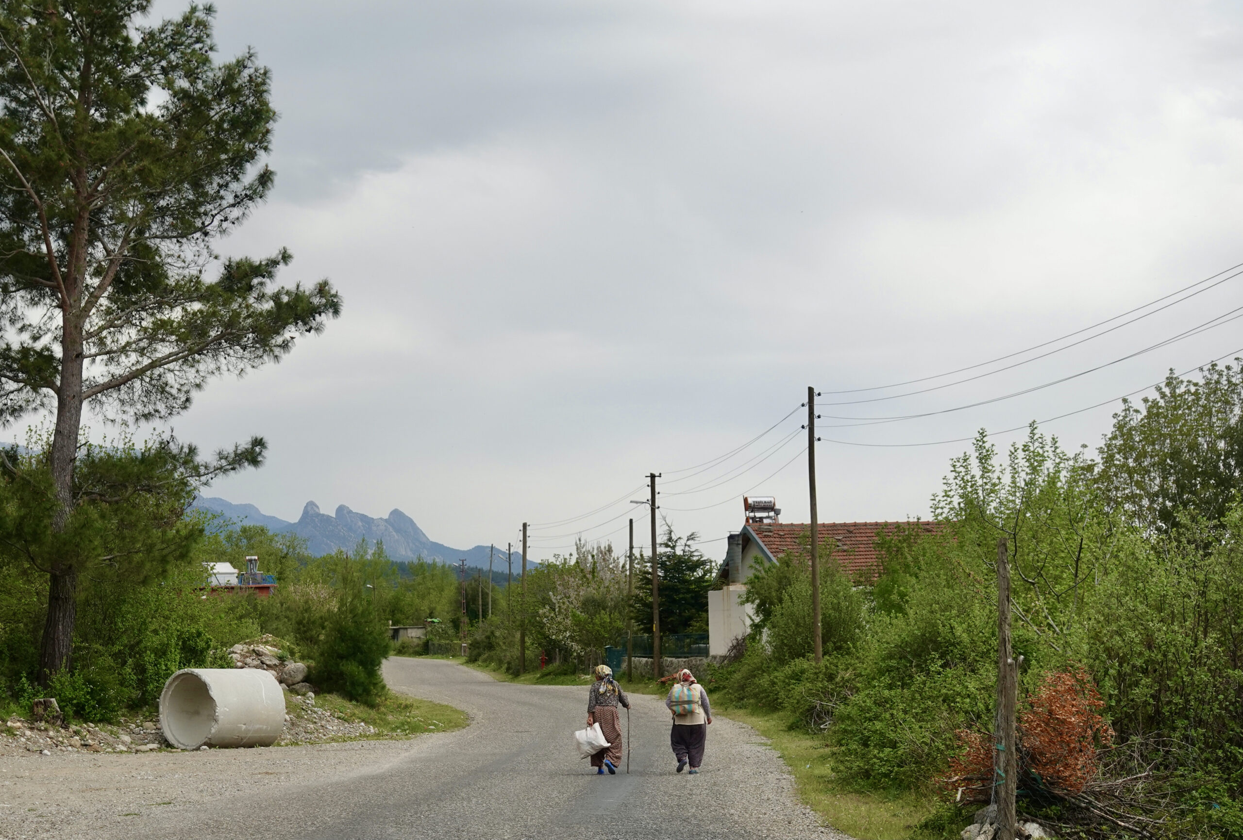 Im Dorf Yeşilbağ