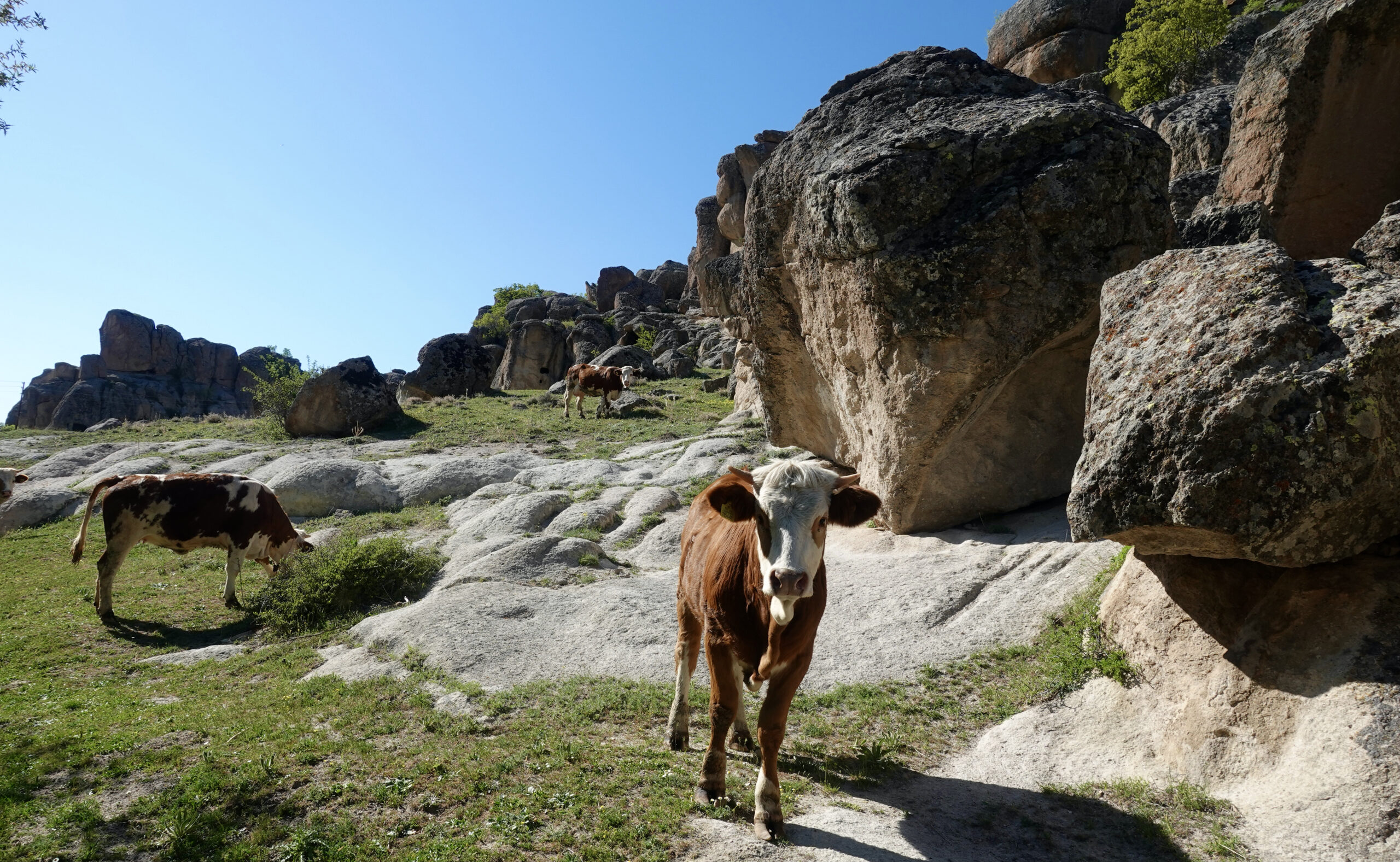 On the road in the monastery valley in Güzelyurt