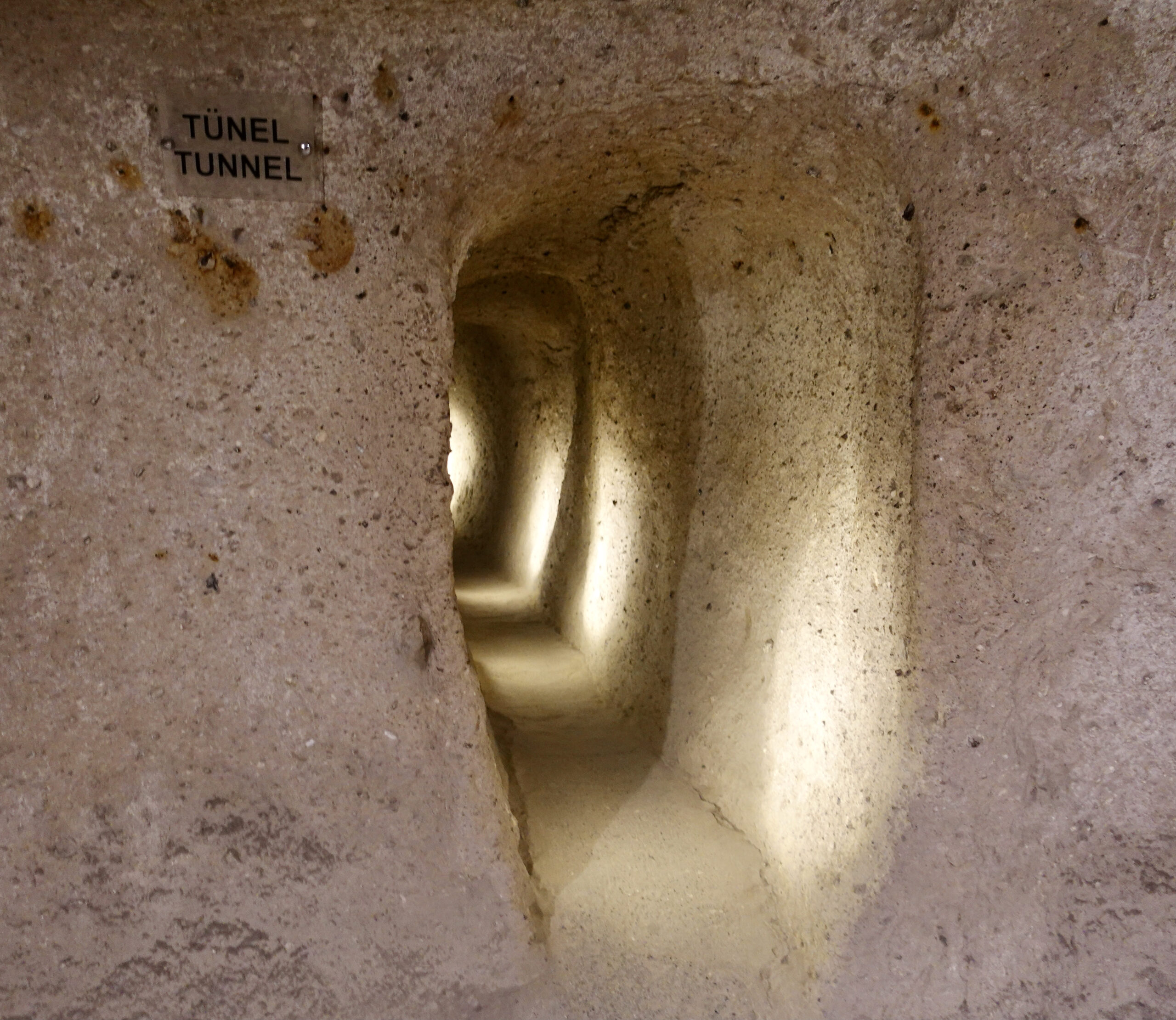 Several tunnels connect the individual rooms