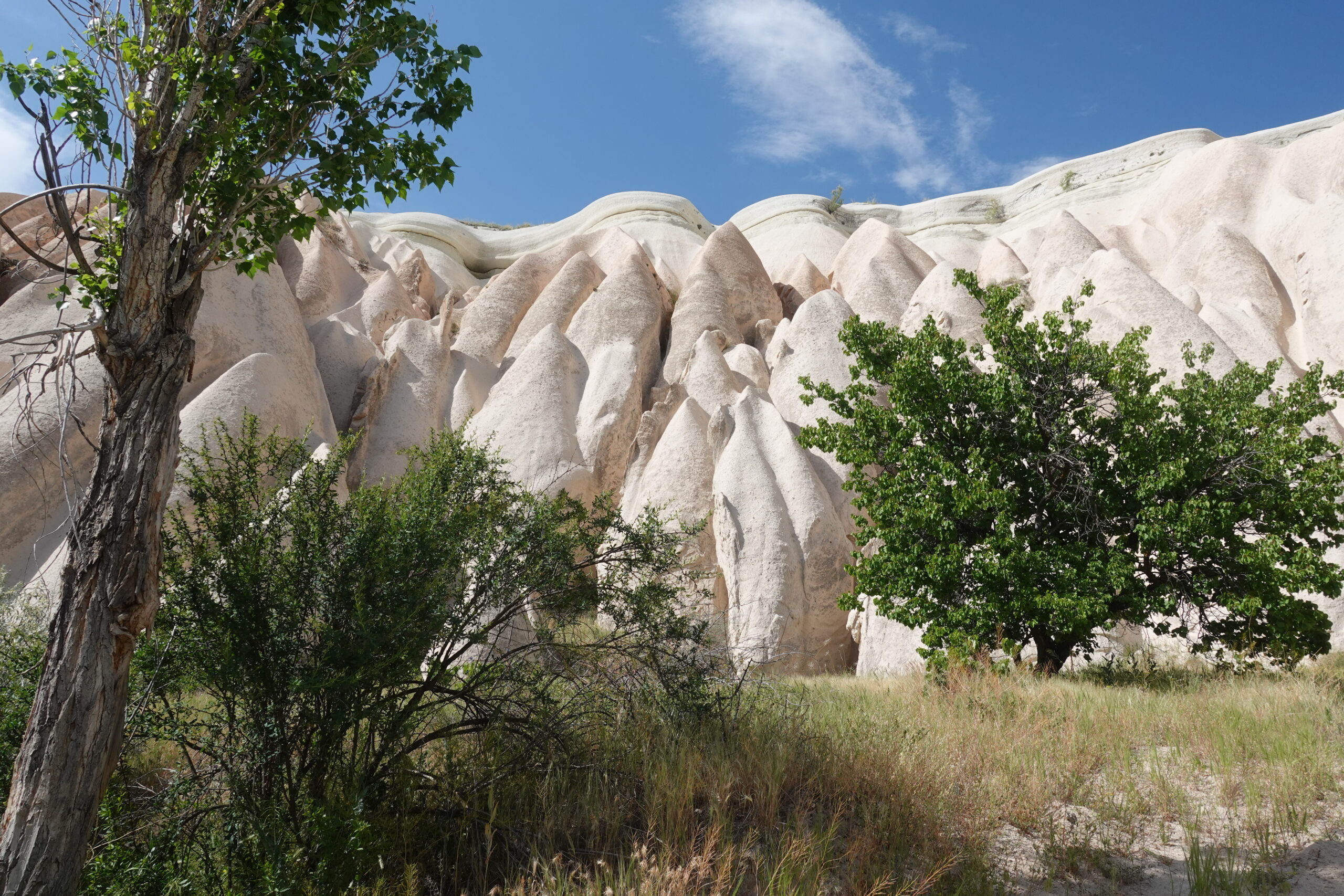 Beim Ausgang des Rose Valley waren die Felsen dann plötzlich ganz weiss