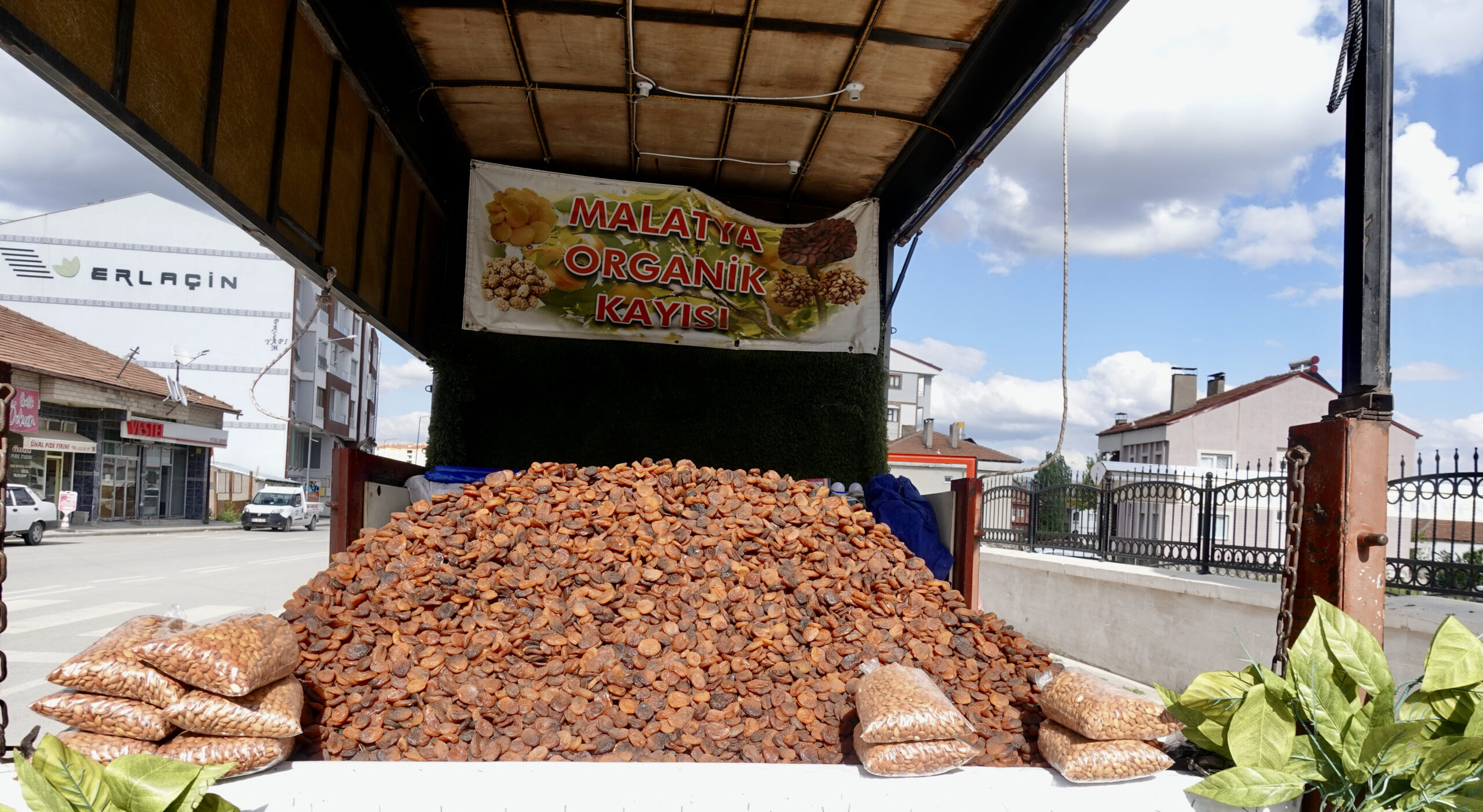 Getrocknete Aprikosen aus Malatya