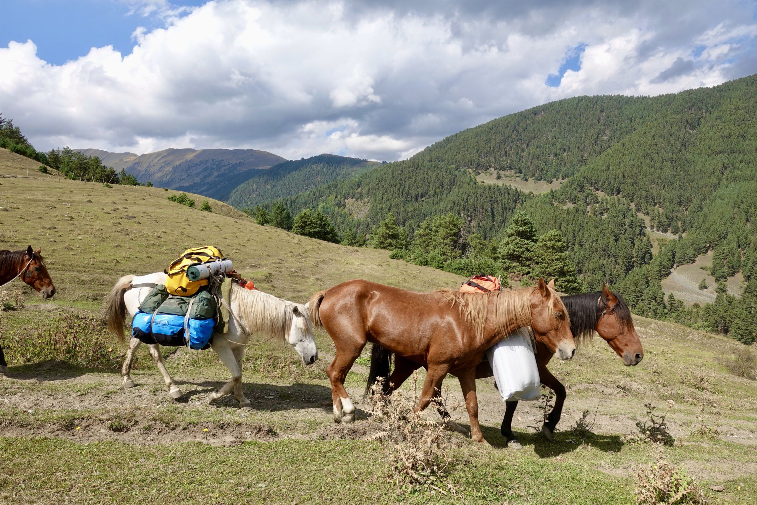 Expedition on their way to the Pirikita valley