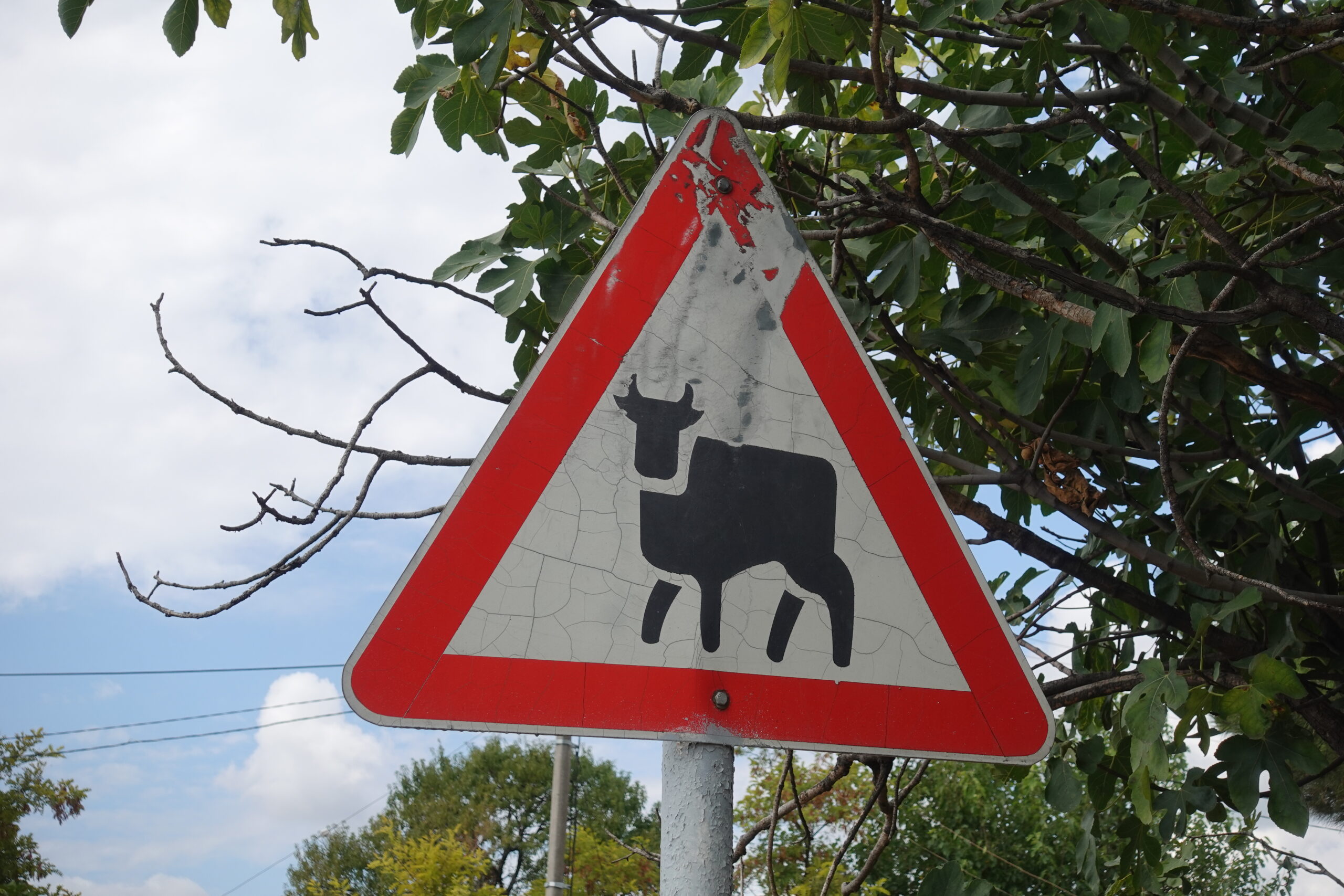 Weit verbreitetes Warnschild in Georgien