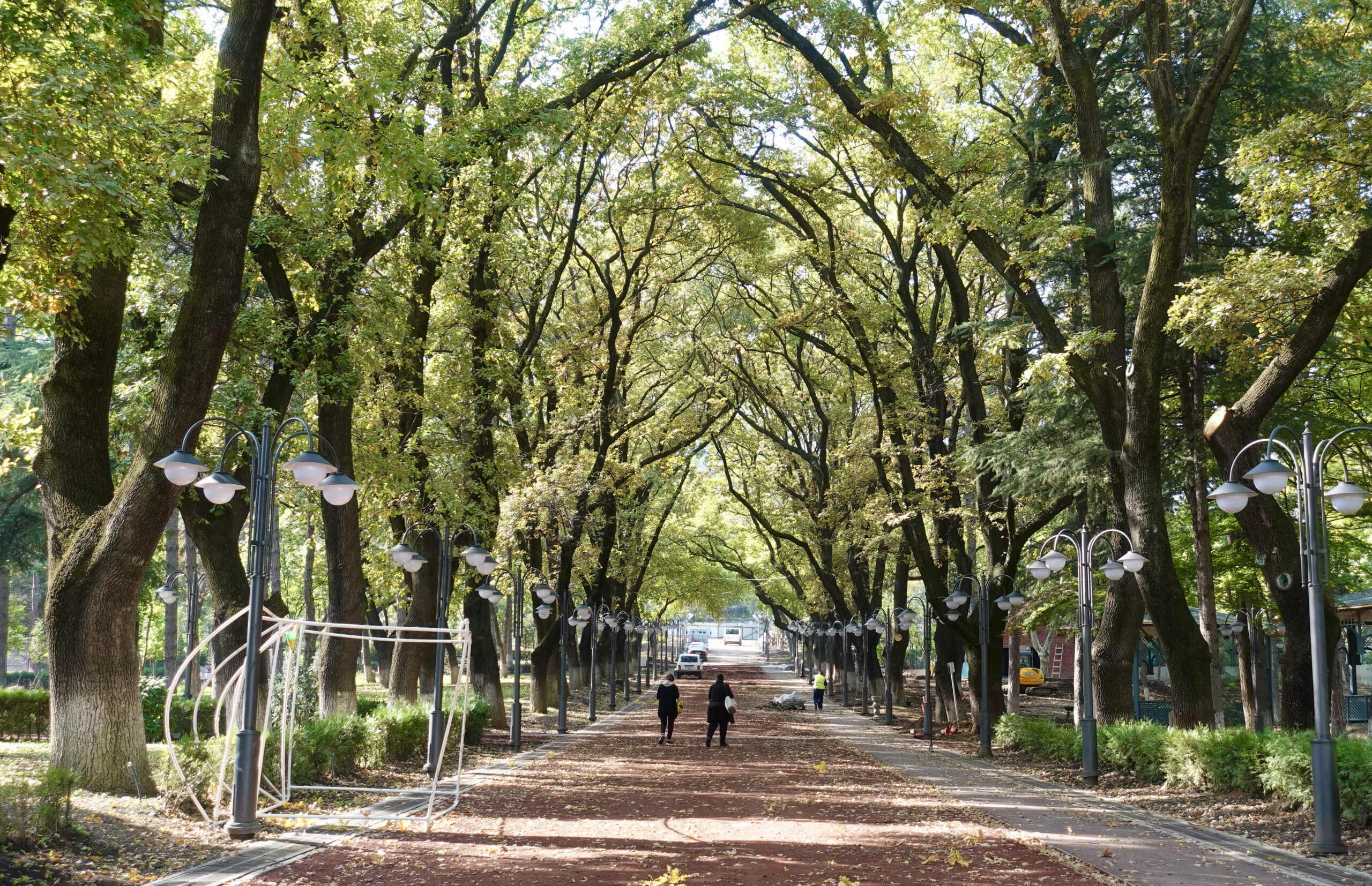 Autumn at Vake Park