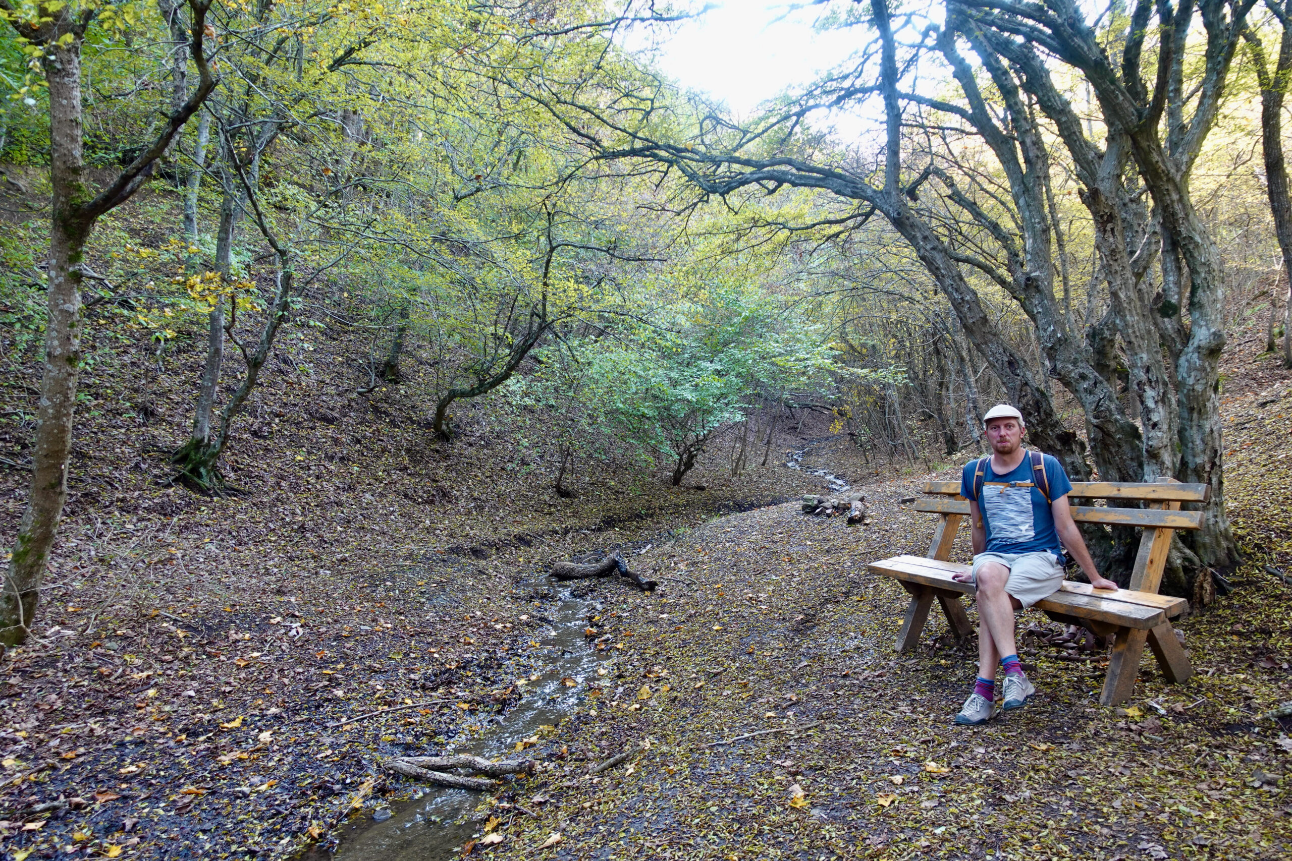 Wanderweg vom Turtle Lake zum Mtatsminda Park