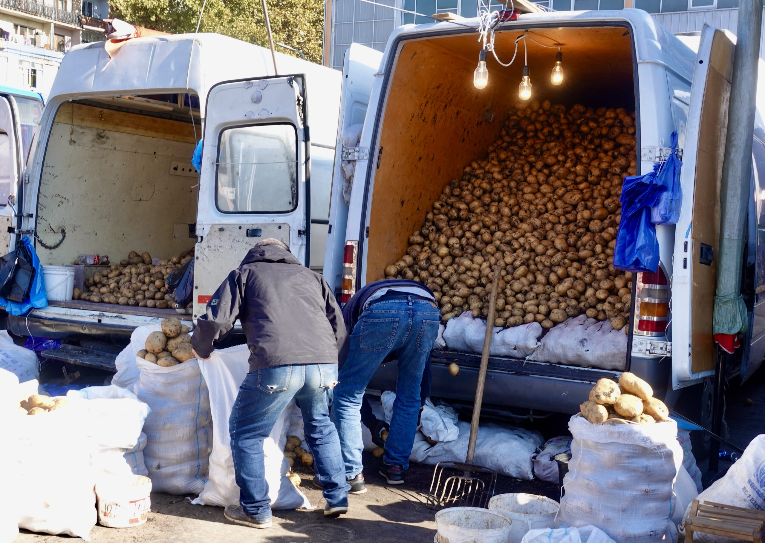 Potato lane at the market