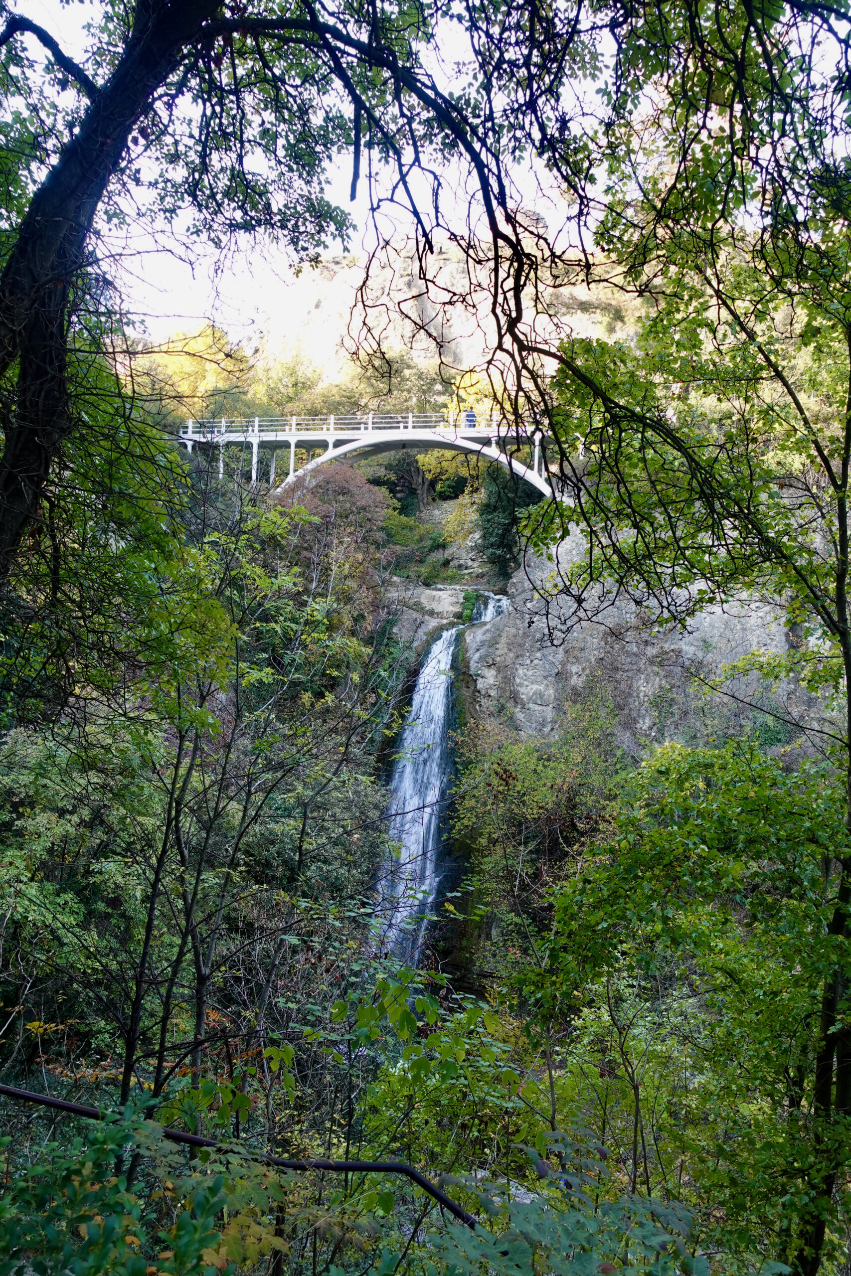 Wasserfall im Botanischen Garten