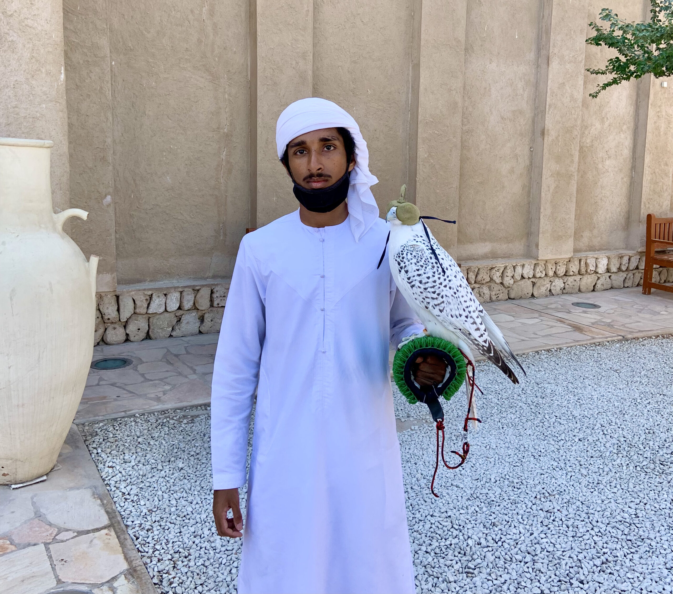 Falconry is part of the culture