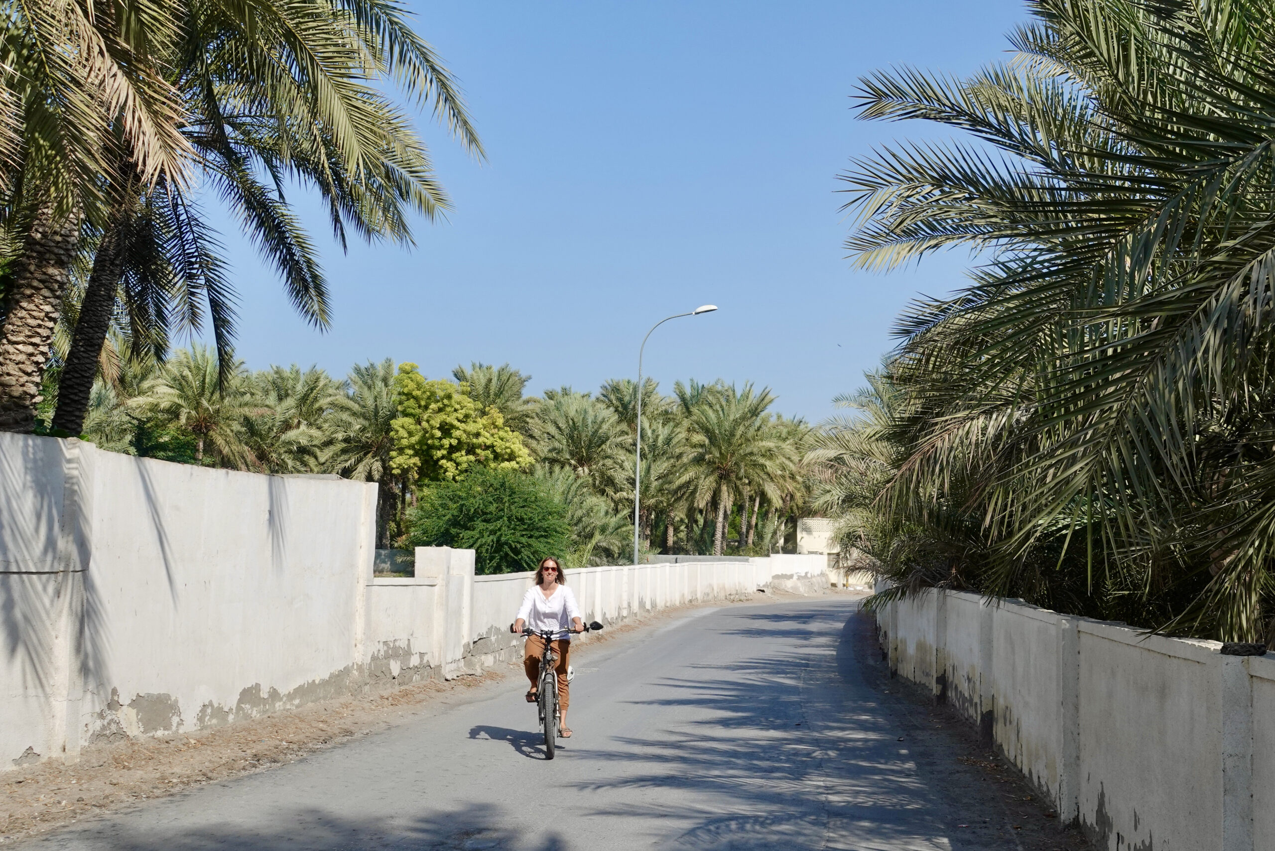 Palmenplantage in Khasab