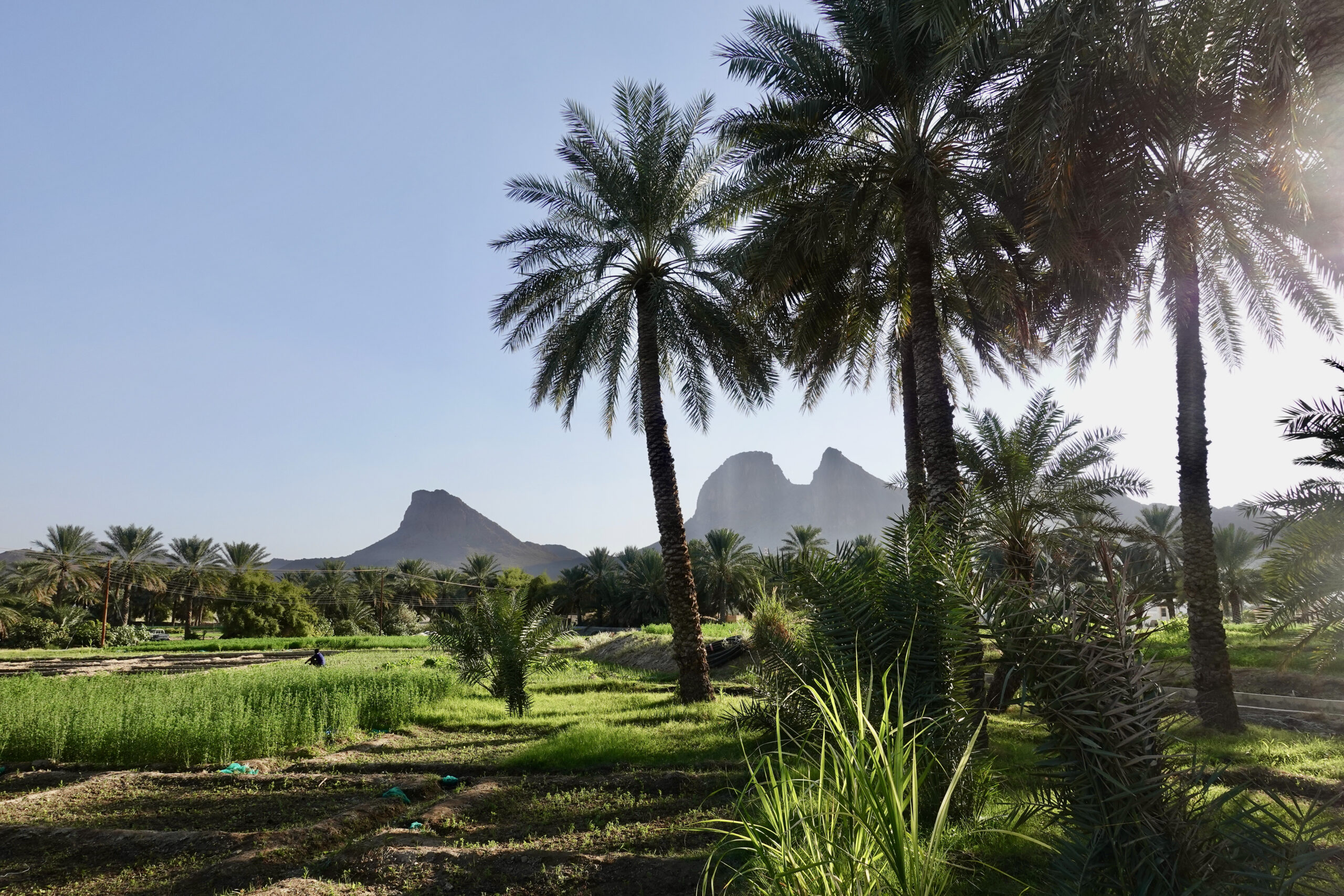 Arrival in Al Hamra (it reminds us of Southeast Asia)