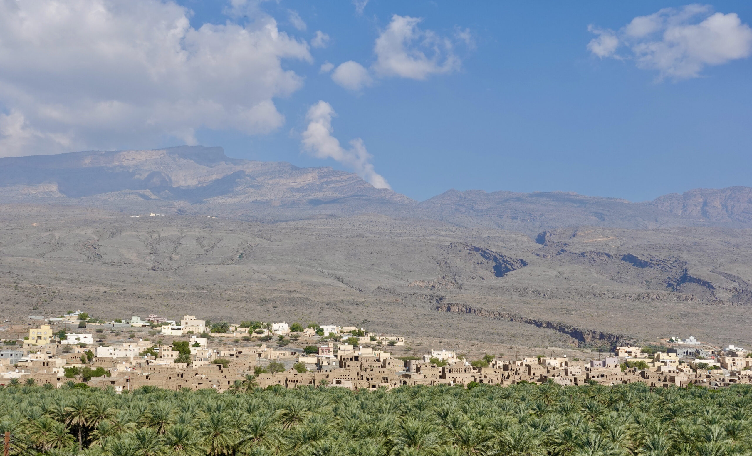 Blick auf Al Hamra und die Dattelplantage