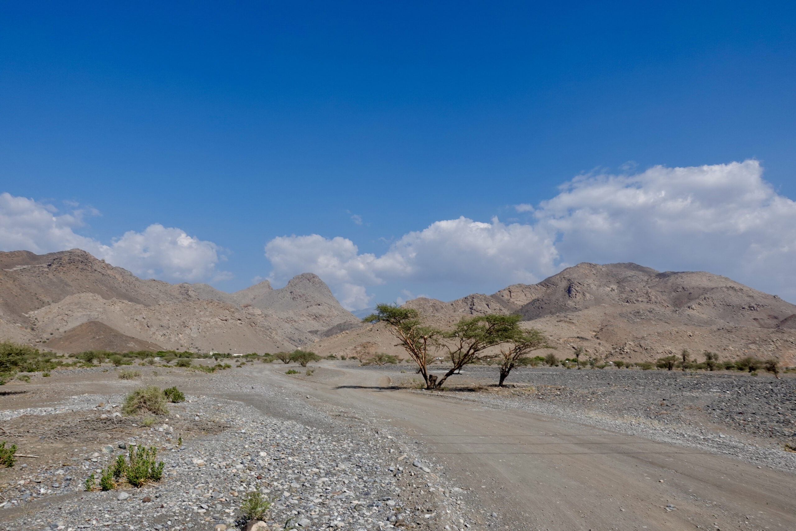 Scenic route between Al Hamra and Bahla