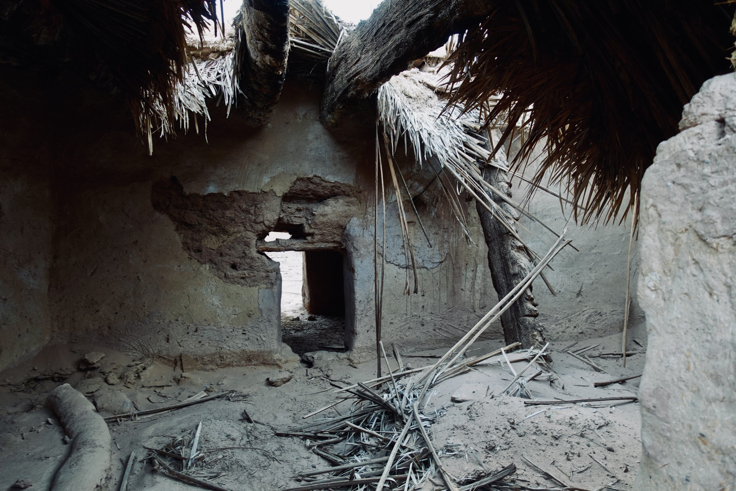 Palm trunks served as roof support