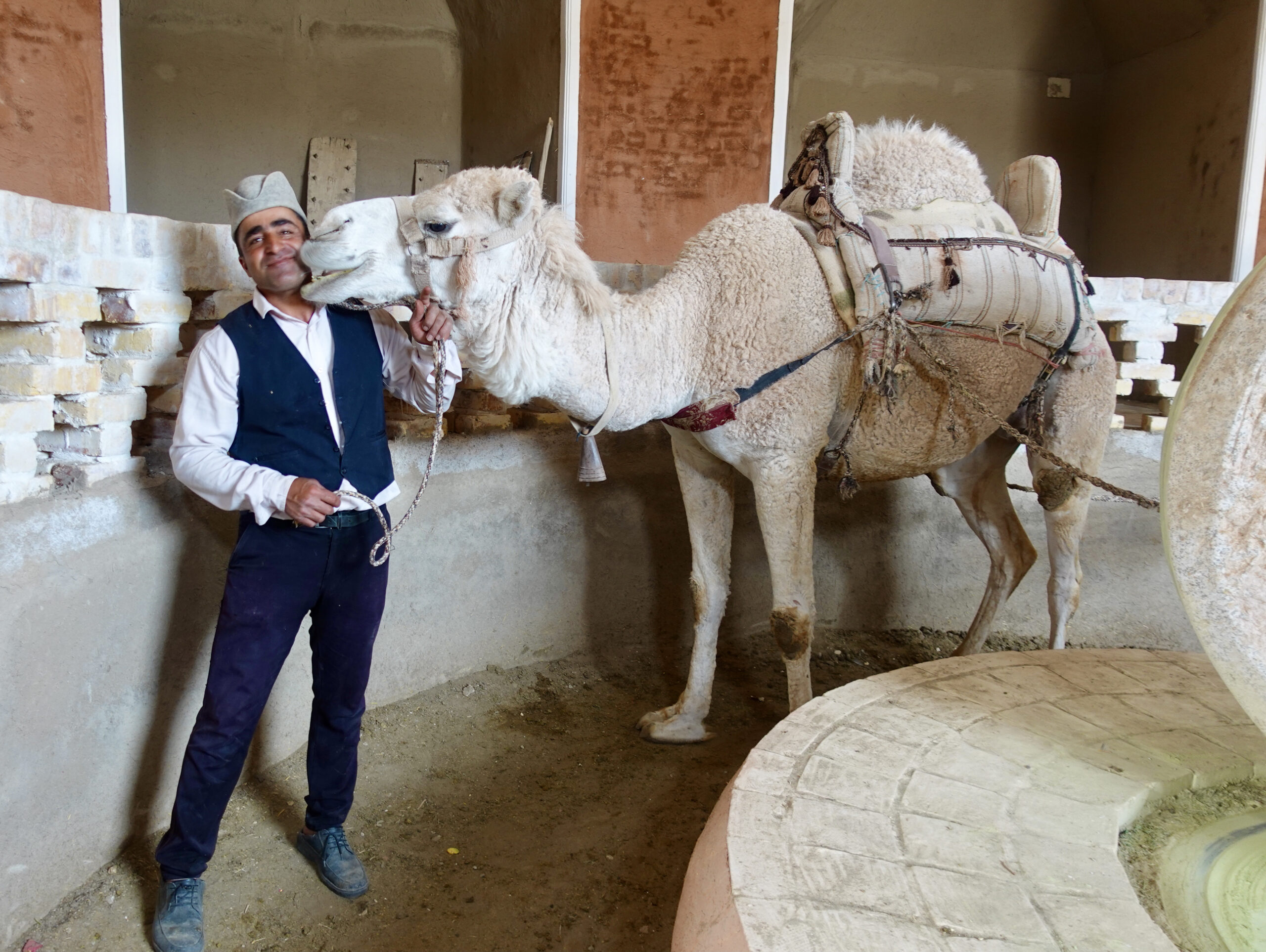 At the camel-henna mill