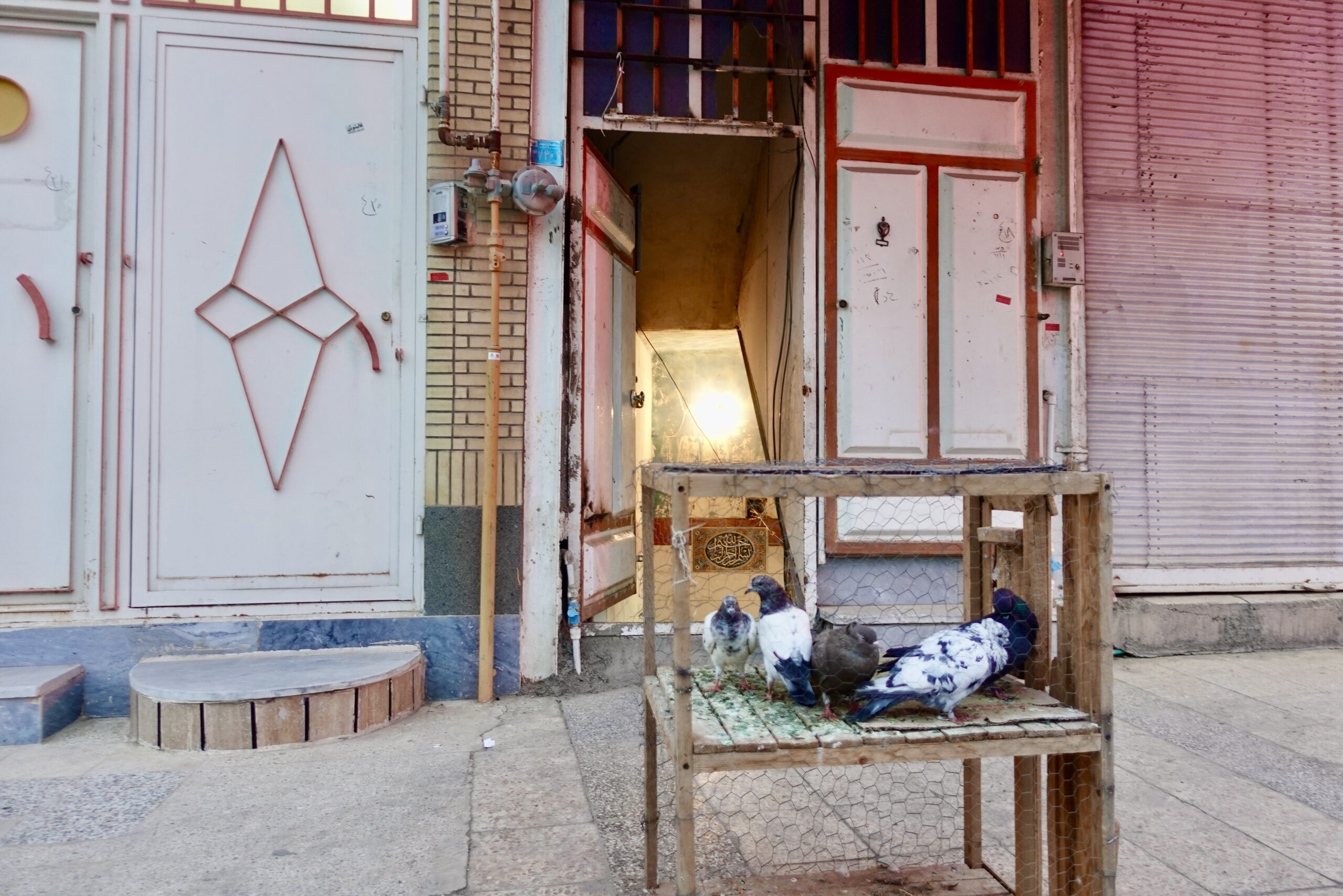 Pigeon being sold in Shushtar