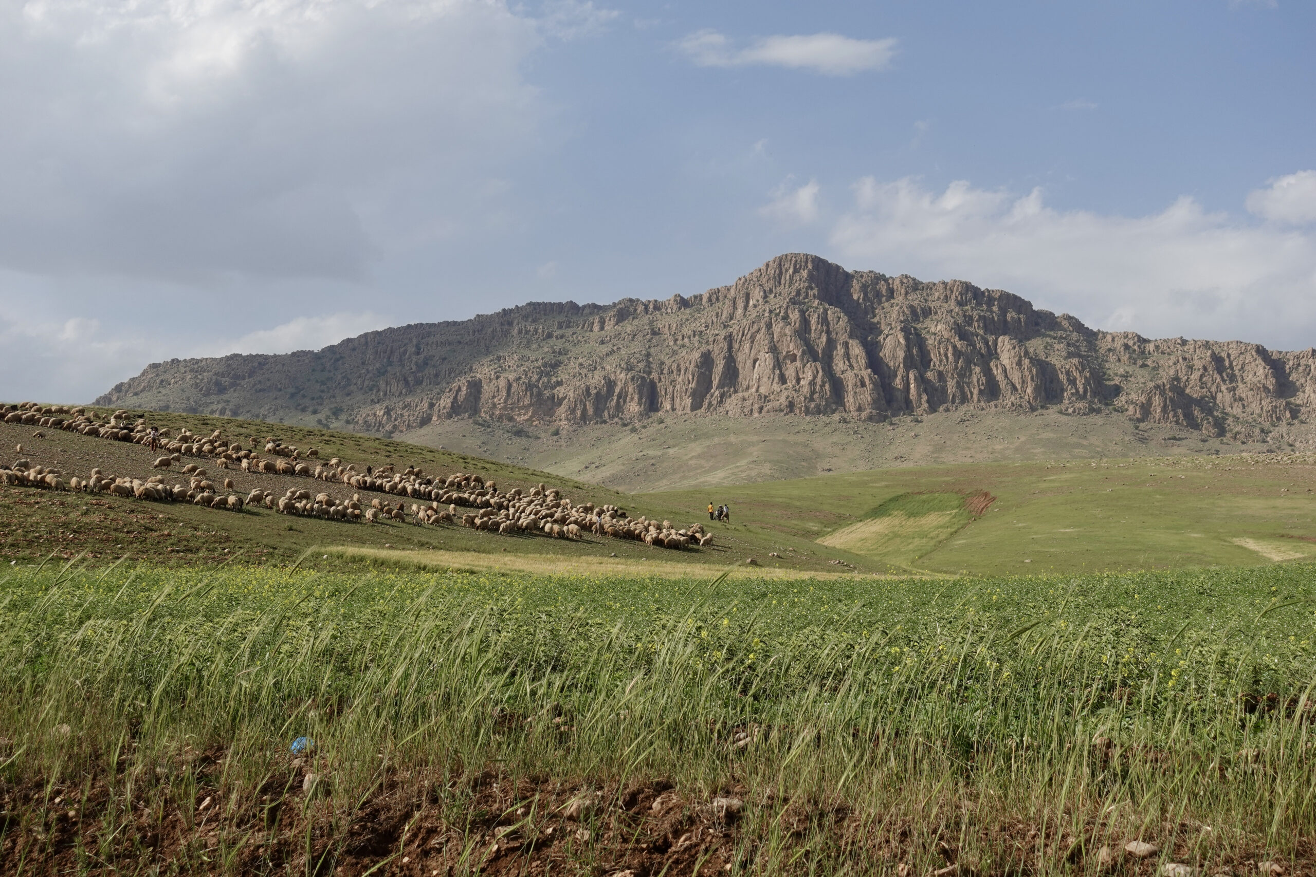 Kurz nach Kermanshah sind wir mitten in der Natur