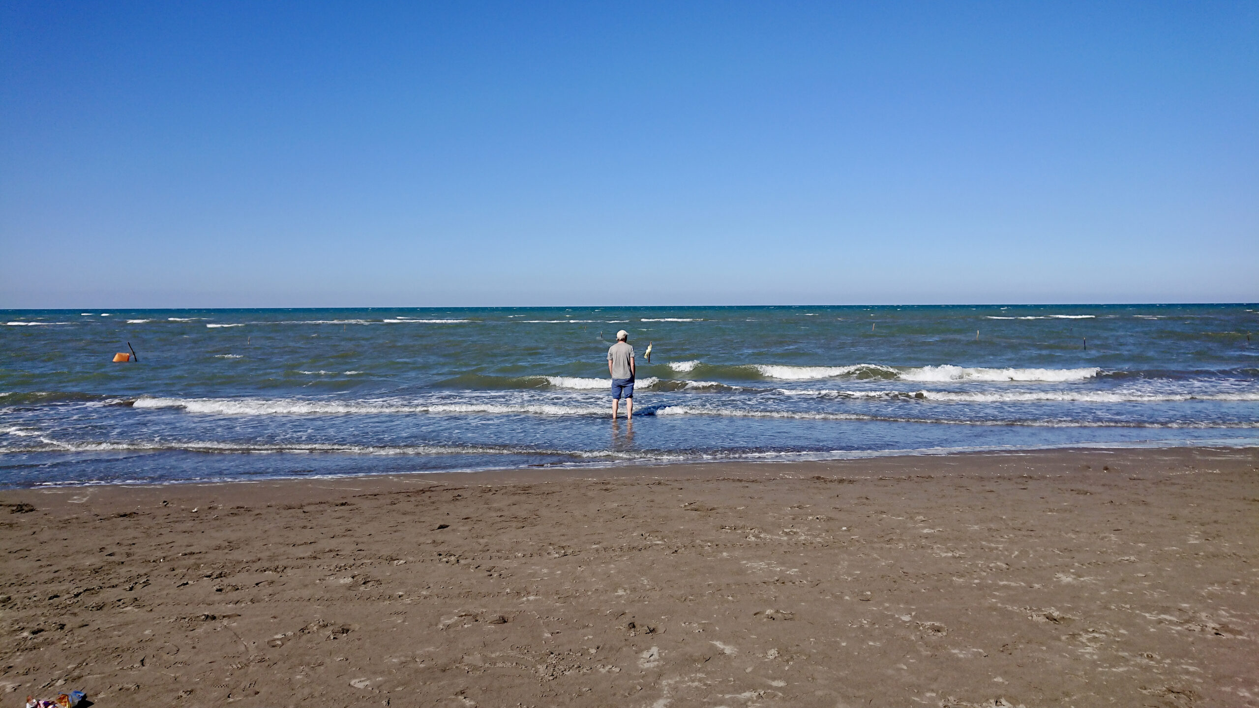 Sense of freedom by the sea