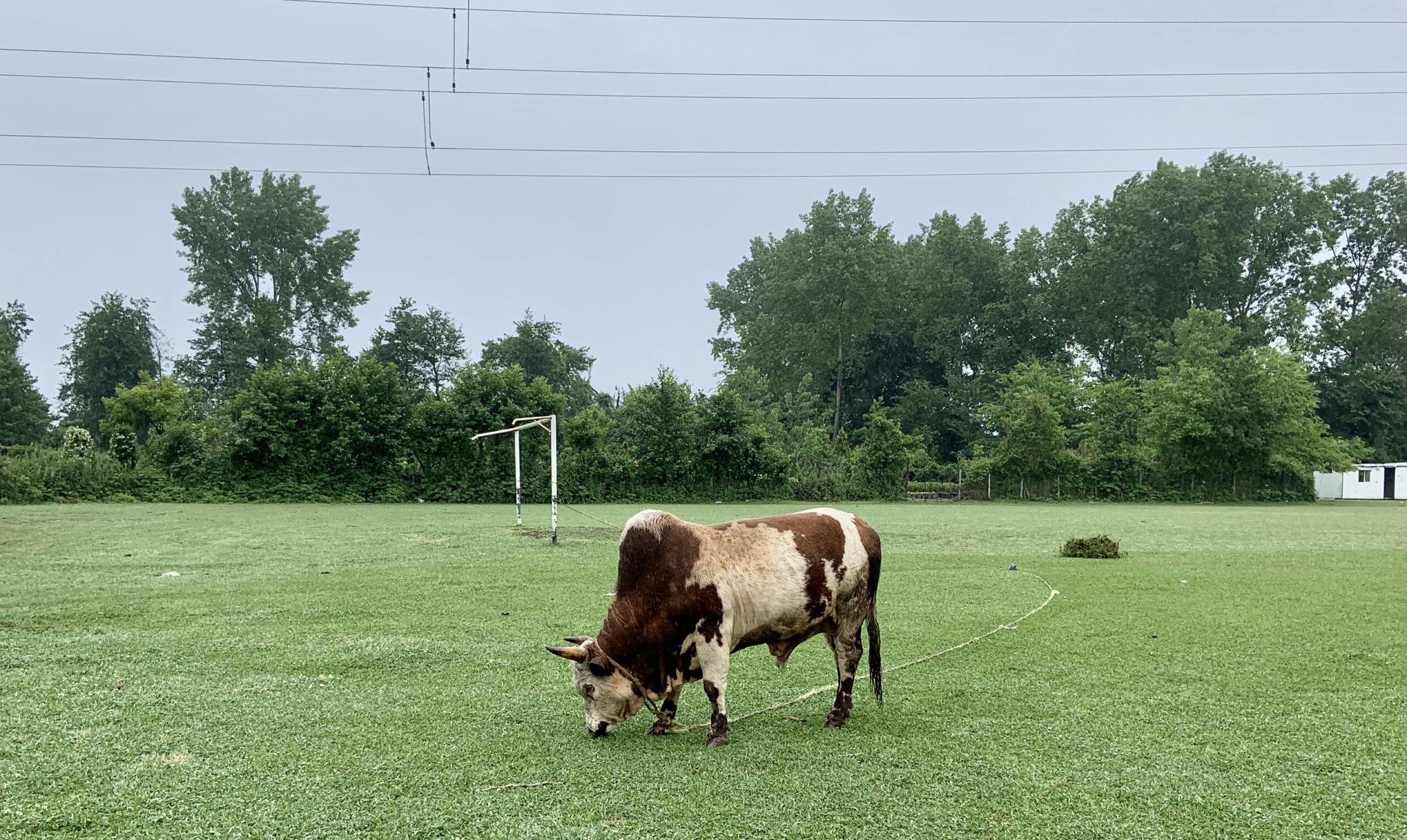 Not much going on today on the soccer field in Ghasem-Abad