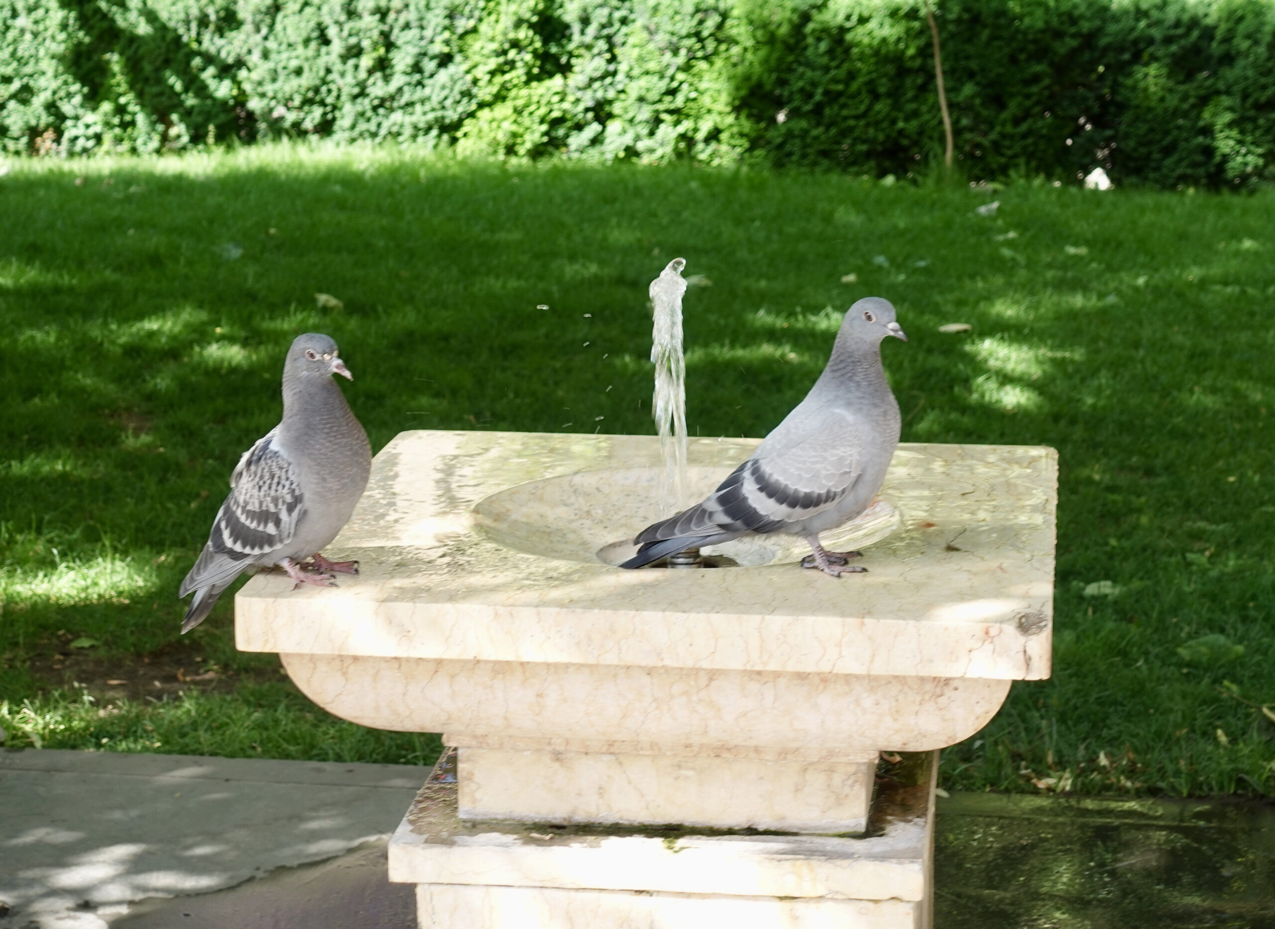 Überall in der Stadt finden sich diese Trinkwasserbrunnen, Pulpulak, genannt