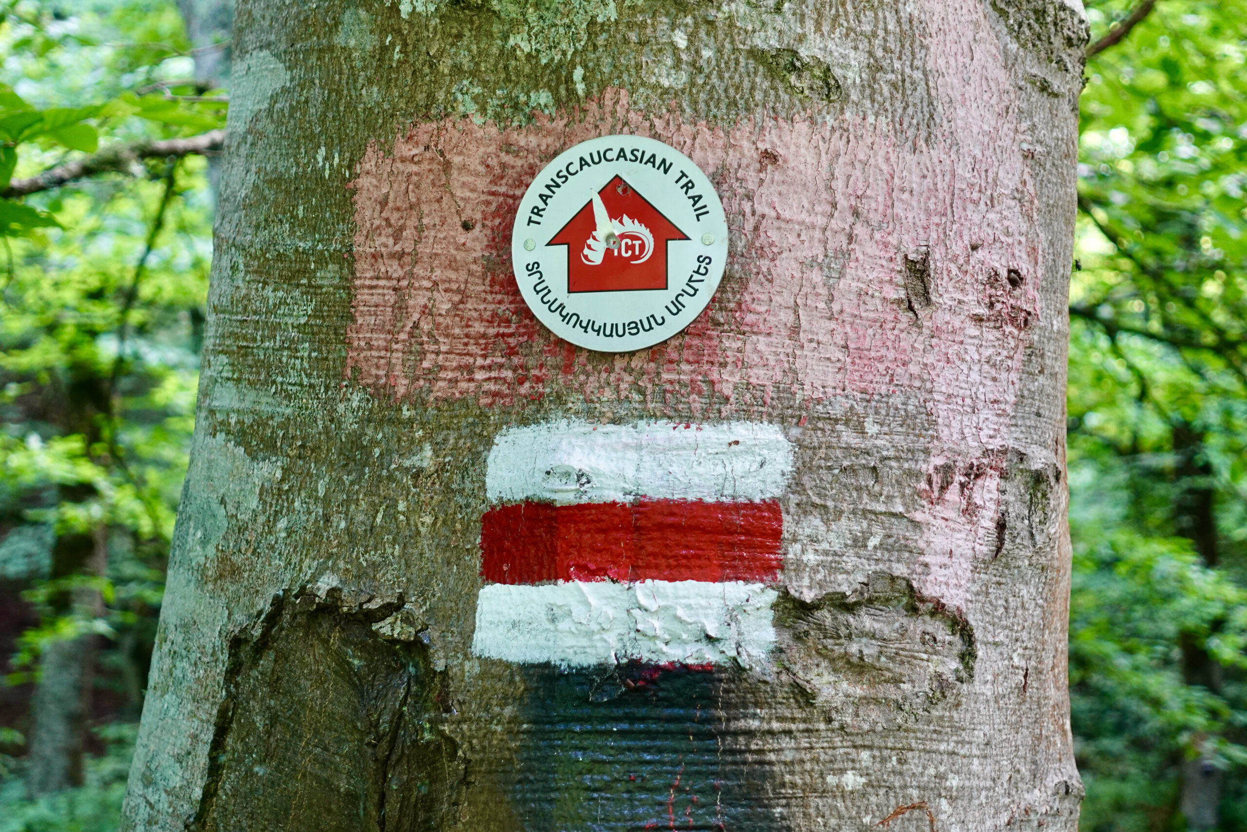 Wanderung auf dem Transcaucasian Trail