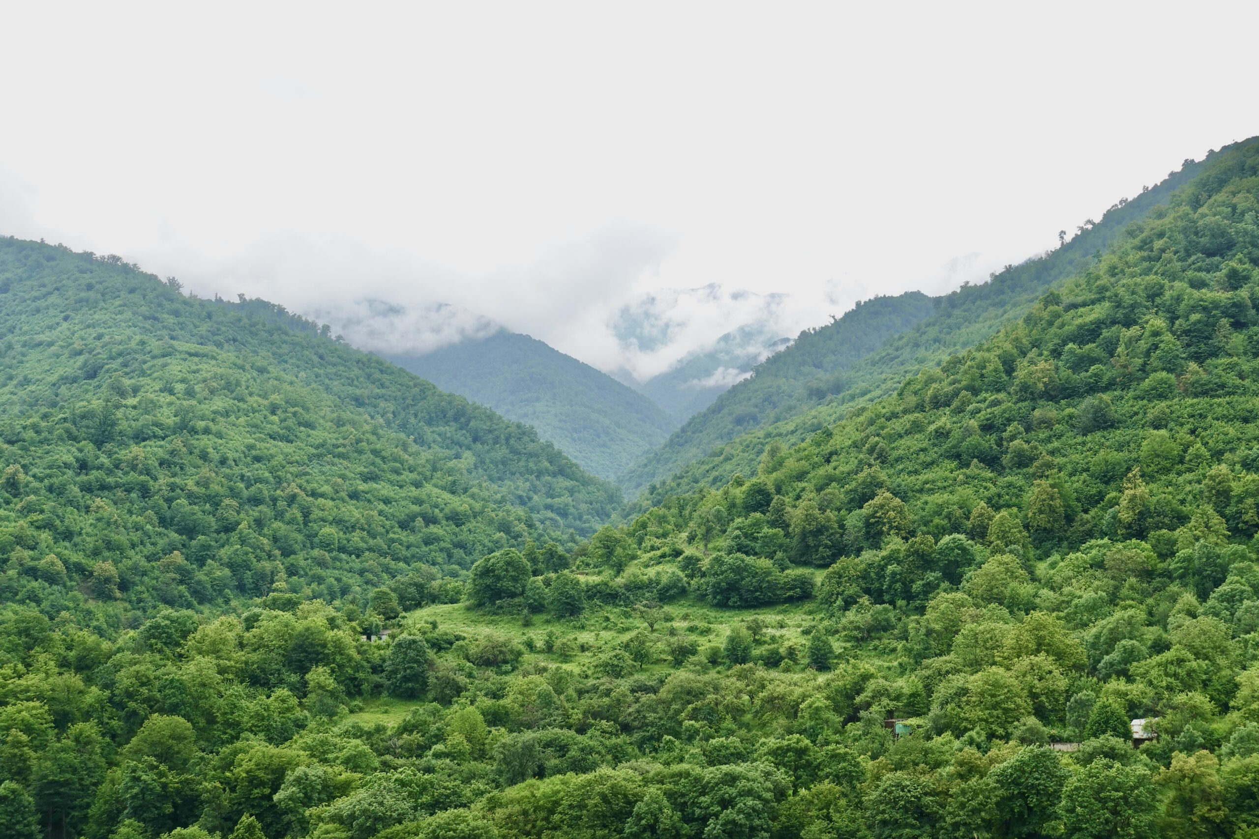 The lush forests of the Dilijan National Park