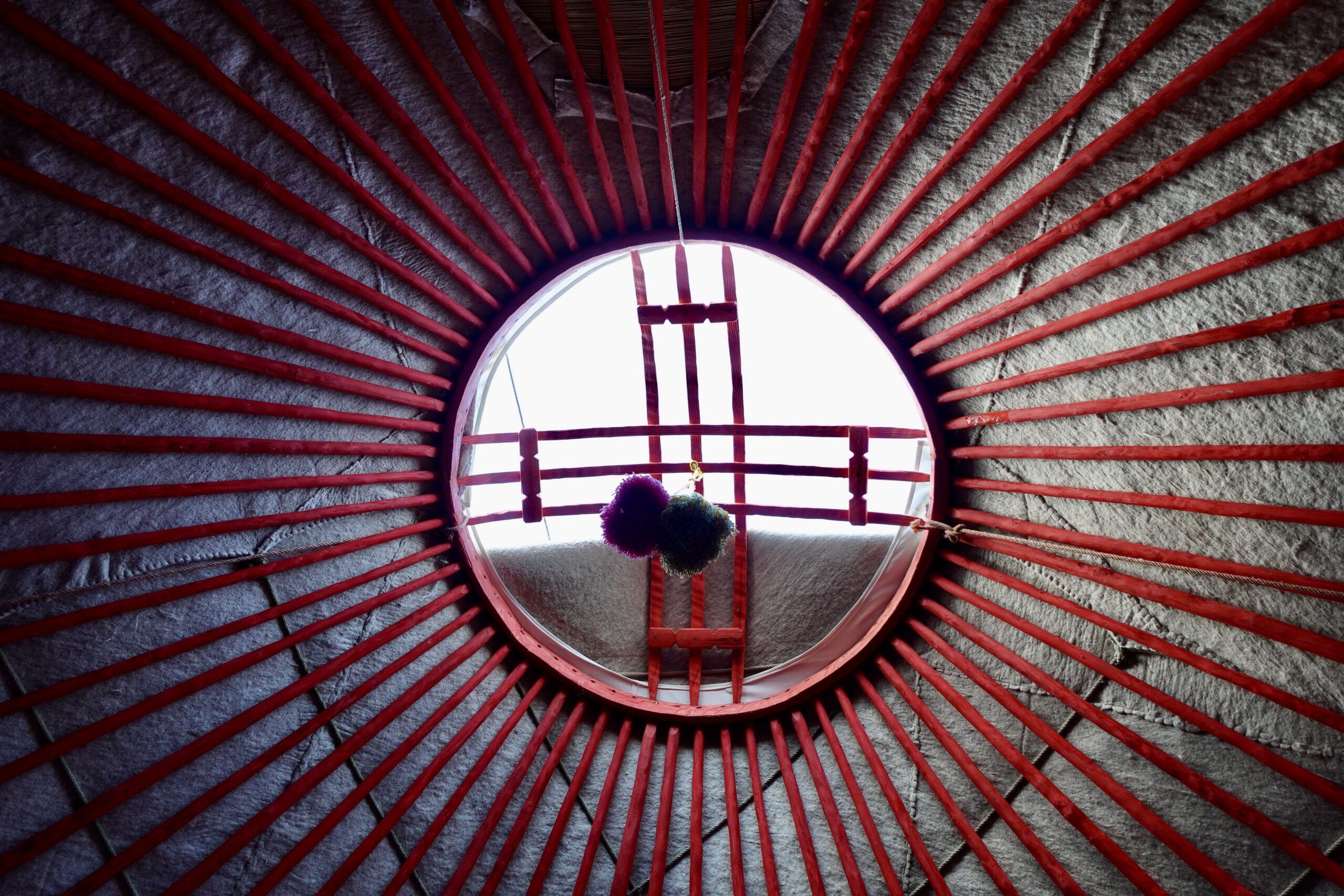 The "tunduk" (yurt roof) is also depicted on the national flag