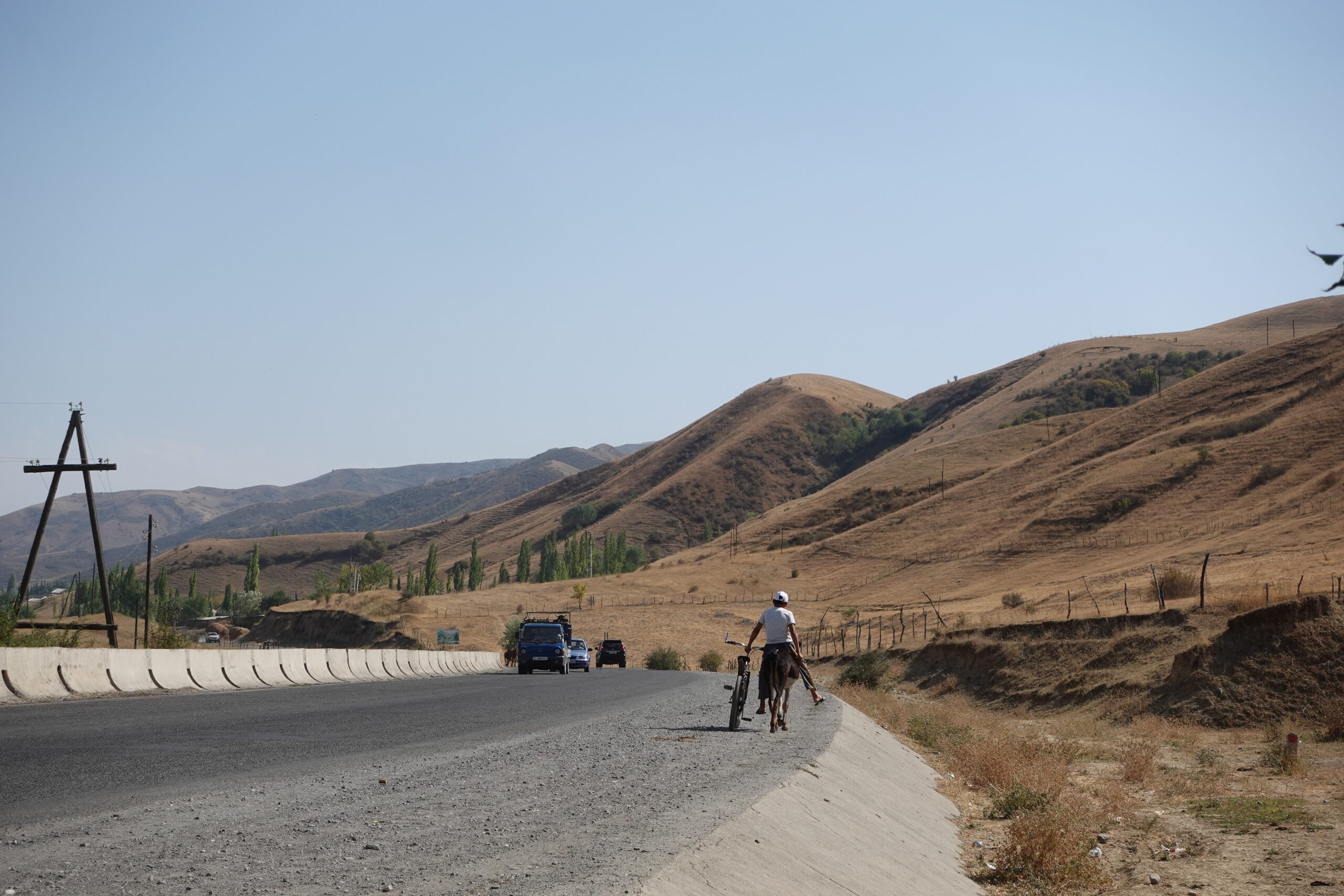 Kyrgyz multitasking: Riding a donkey and steering a bicycle 