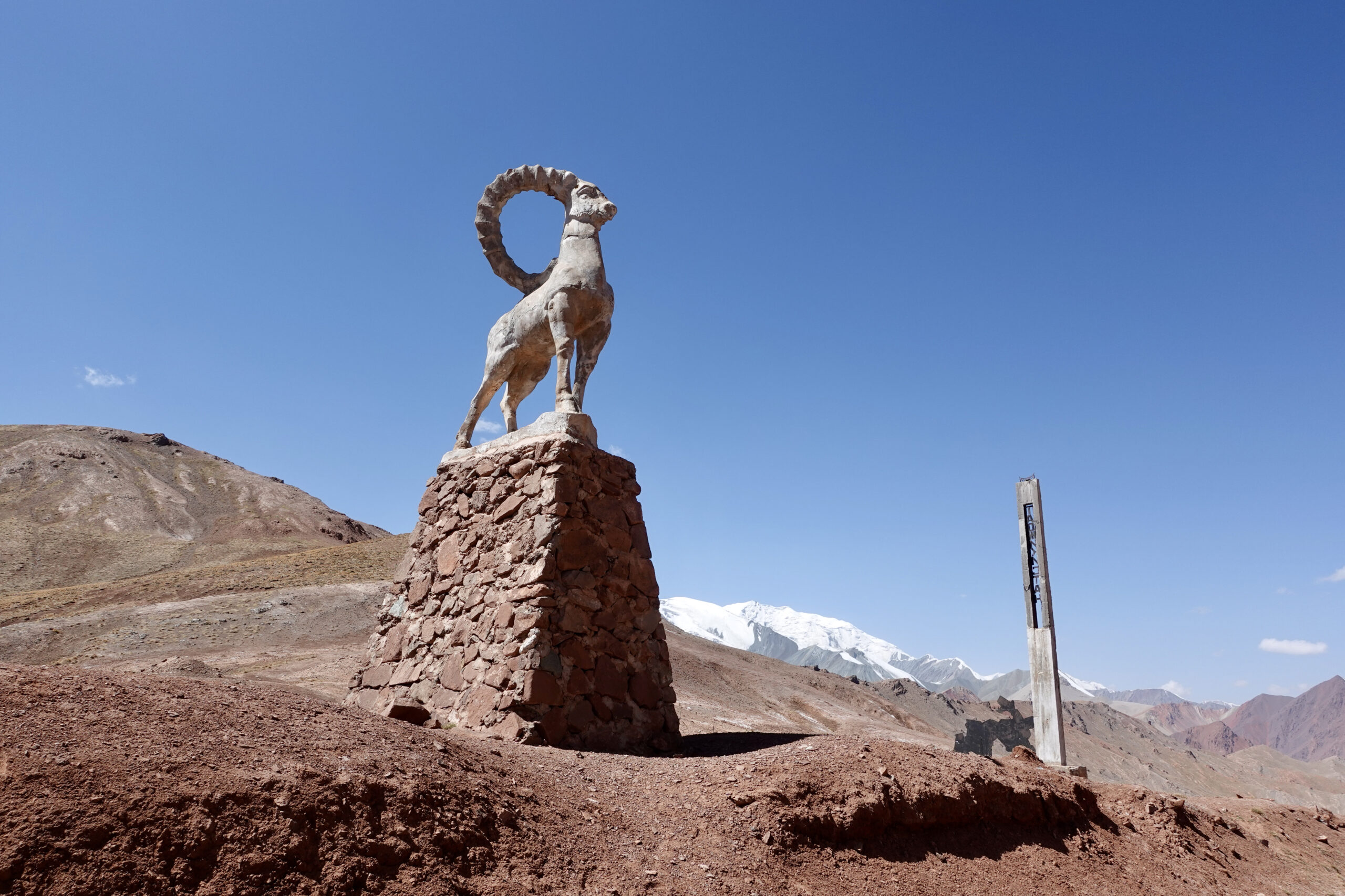 Der berühmte Steinbock auf dem Kyzyl-Art-Pass