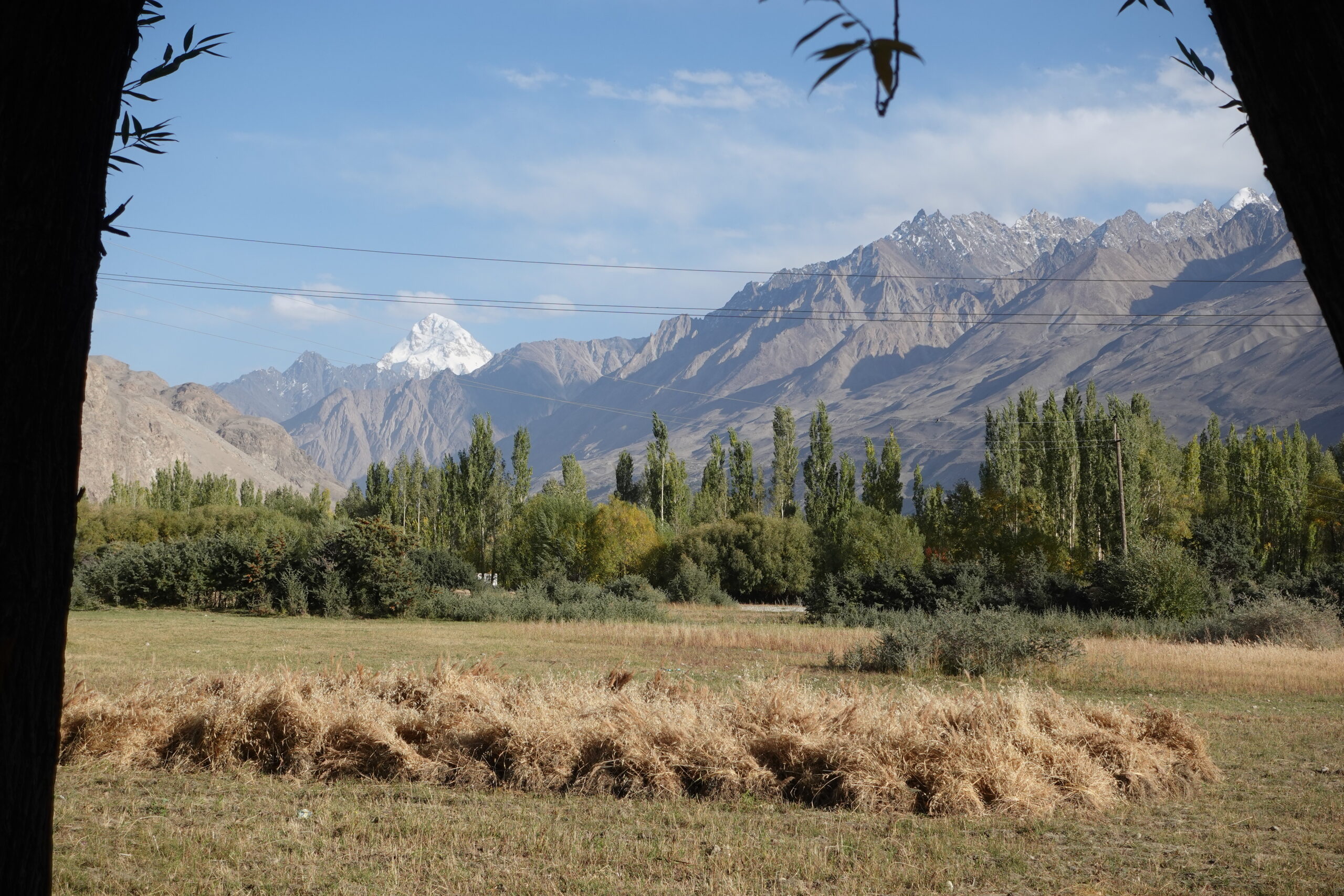 View of Tirich Mir in the distance (7708 m)